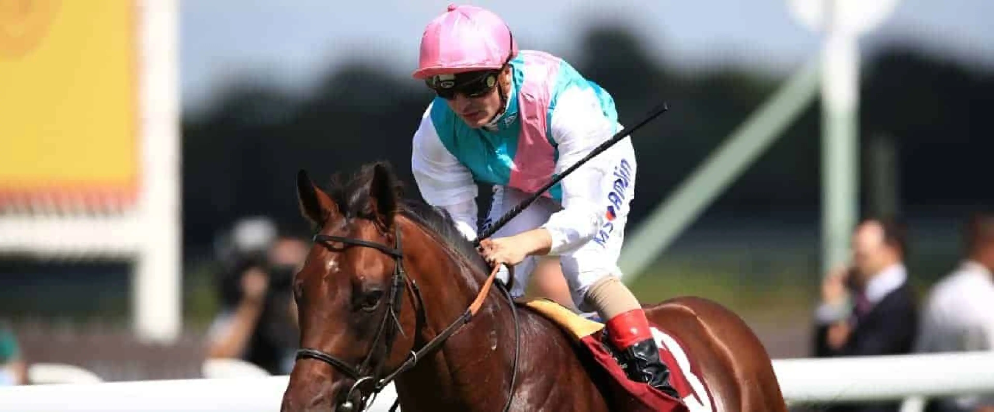 Andrea Atzeni & Expert Eye