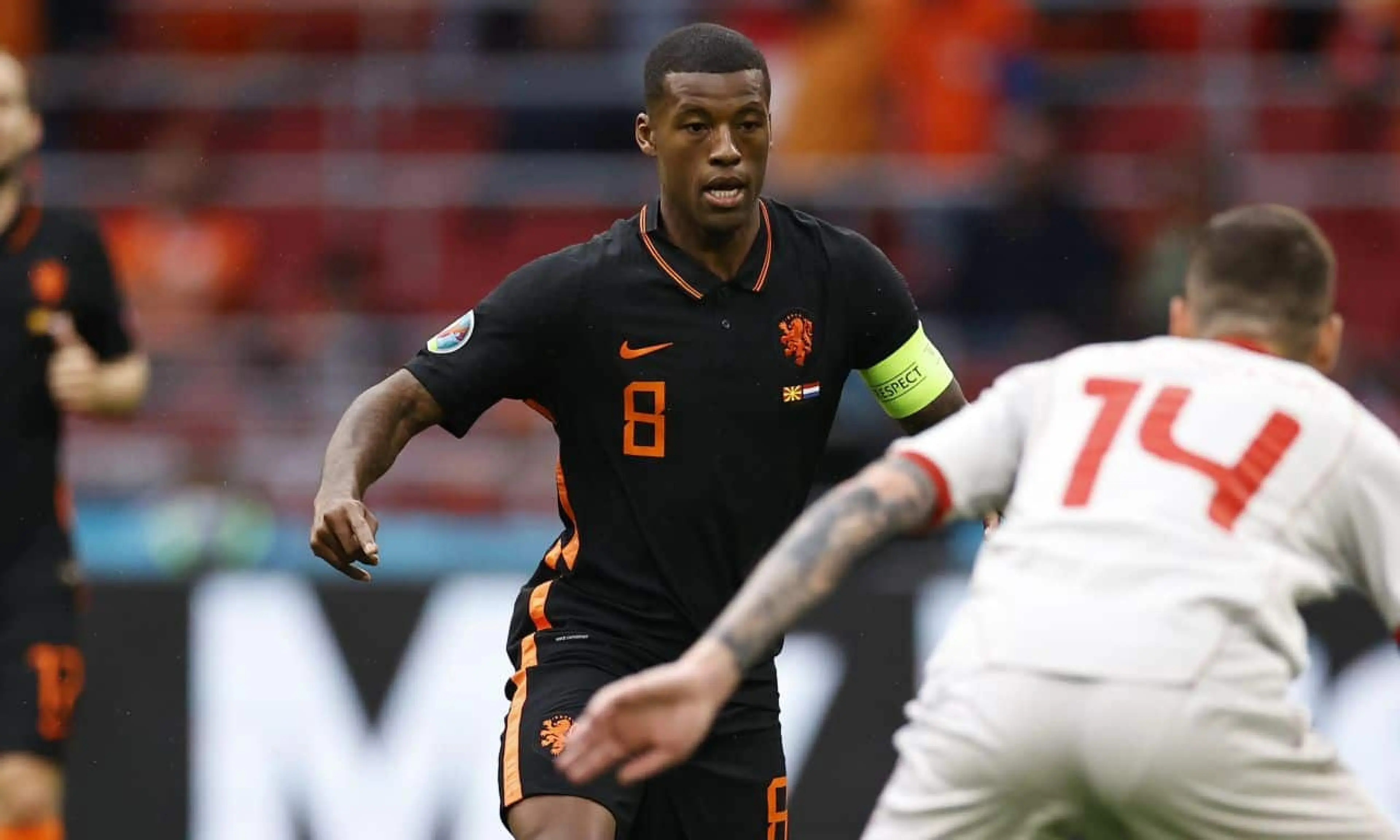 Georginio Wijnaldum, Netherlands