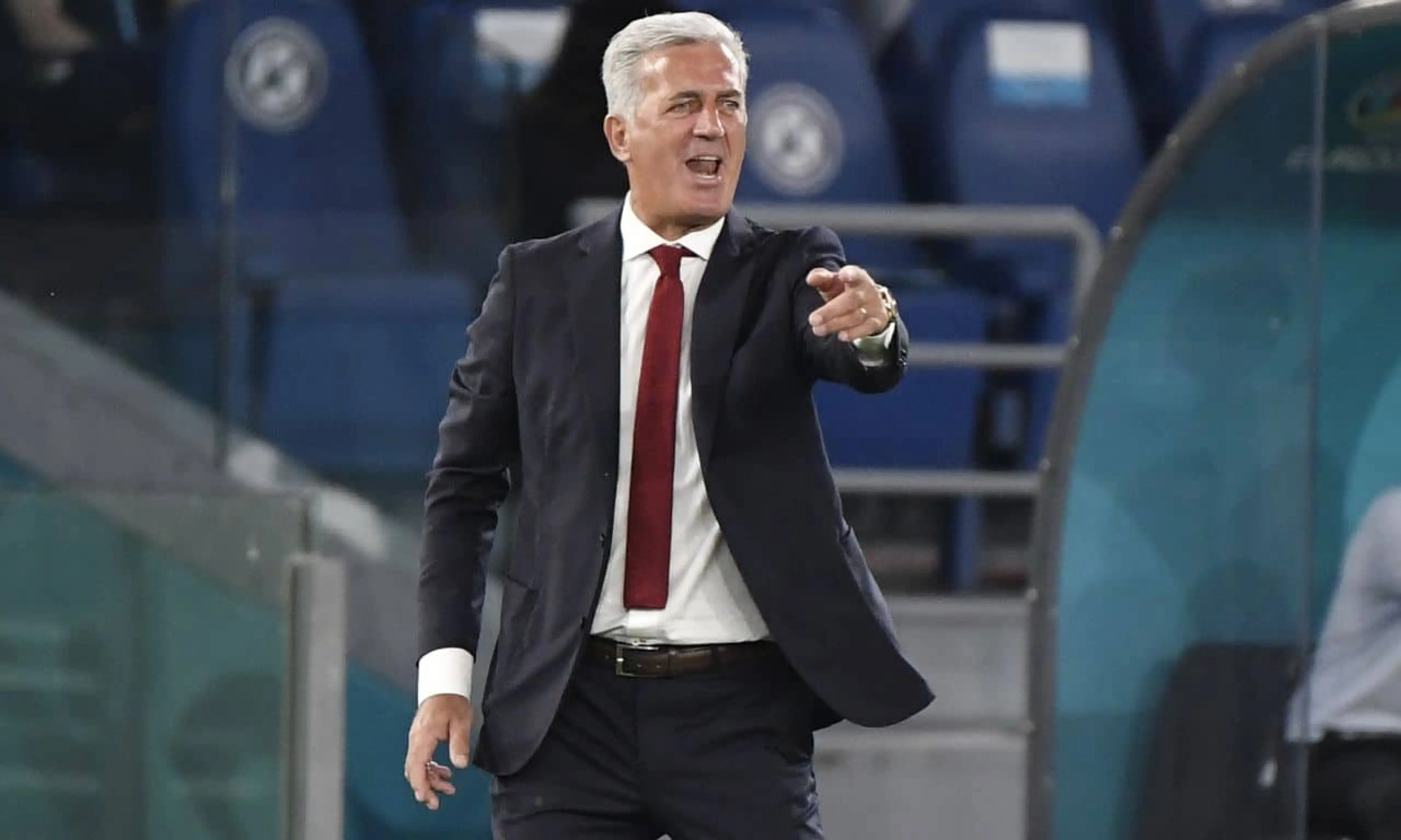 Vladimir Petkovic