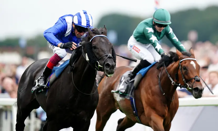 Champion Stakes 2023 odds, Mostahdaf, horse racing