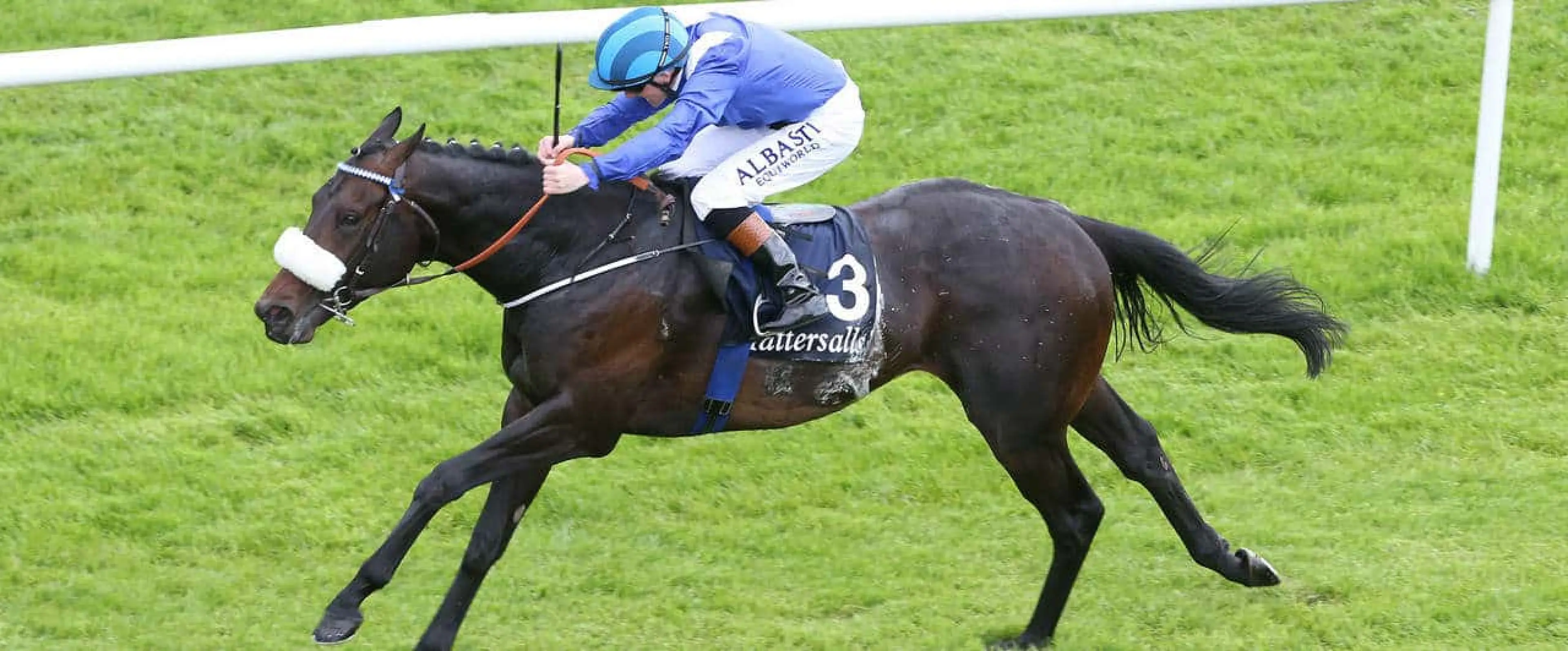 Awtaad each-way is recommended from among Queen Elizabeth II Stakes tips by Coral experts ahead of Minding and