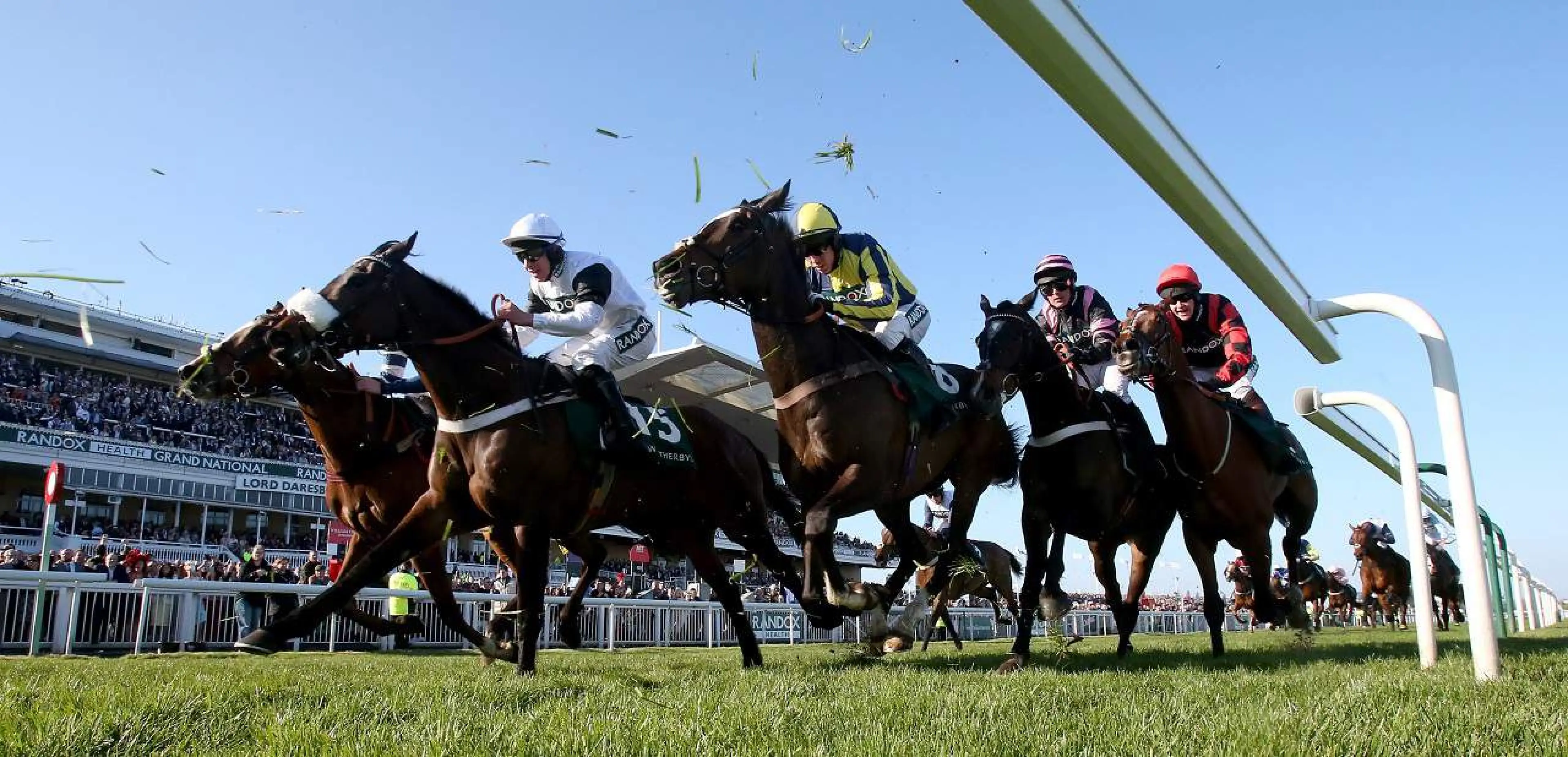 Grand National top runners 2018