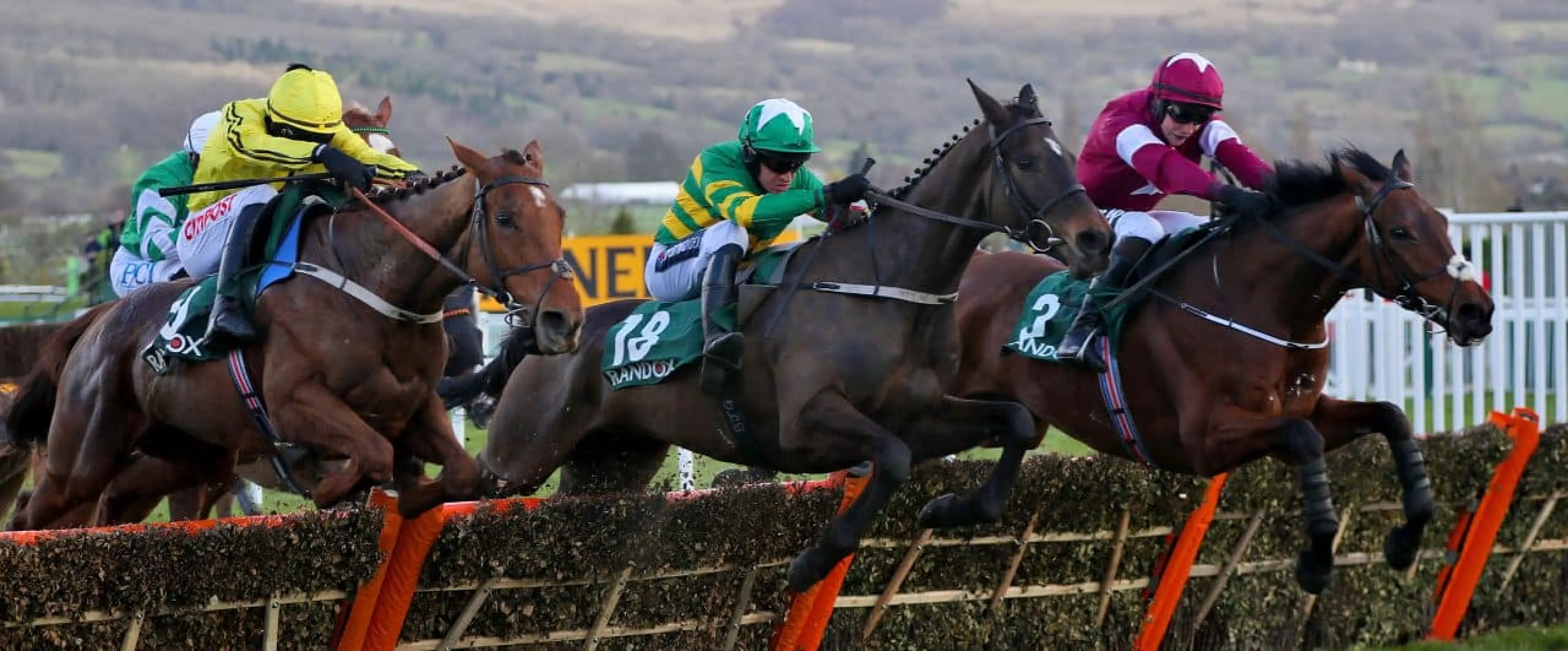 Cheltenham