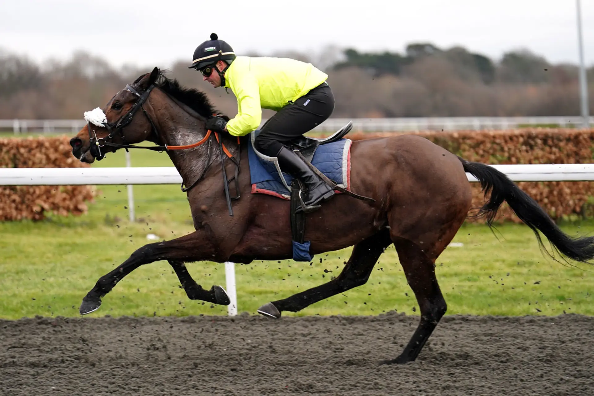 Marie's Rock, Coral Long Distance Hurdle, horse racing