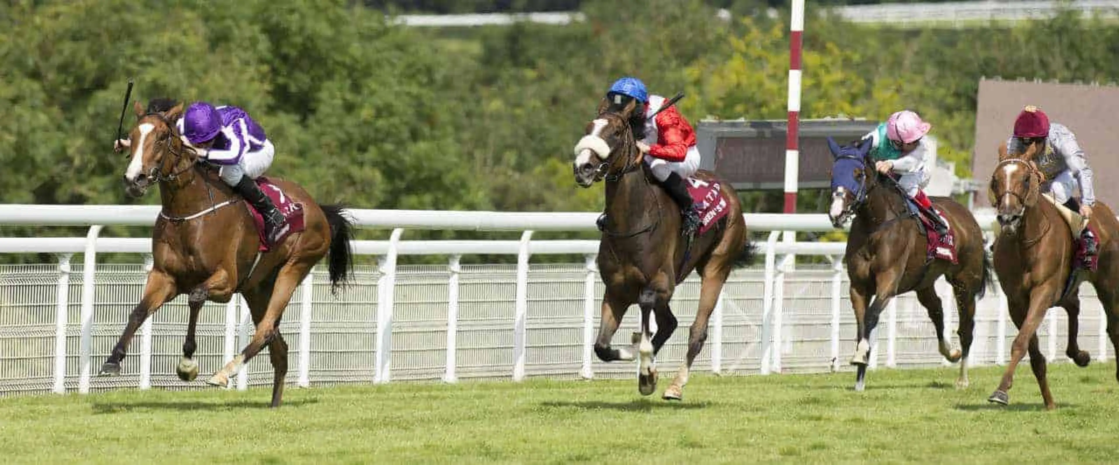 Minding odds are among Leopardstown bets as Coral experts give their Irish Champions Weekend tips.