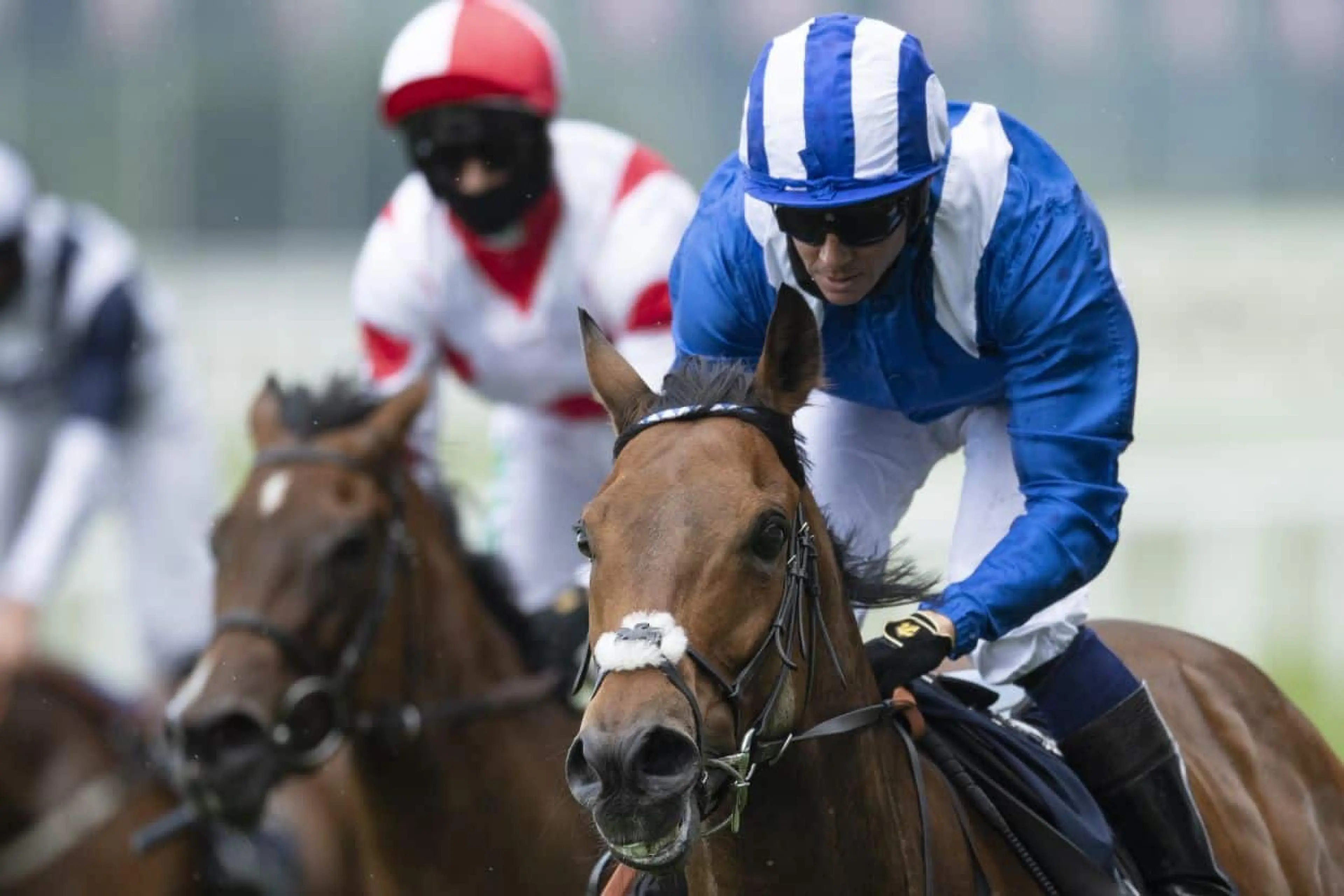 Jim Crowley horse racing