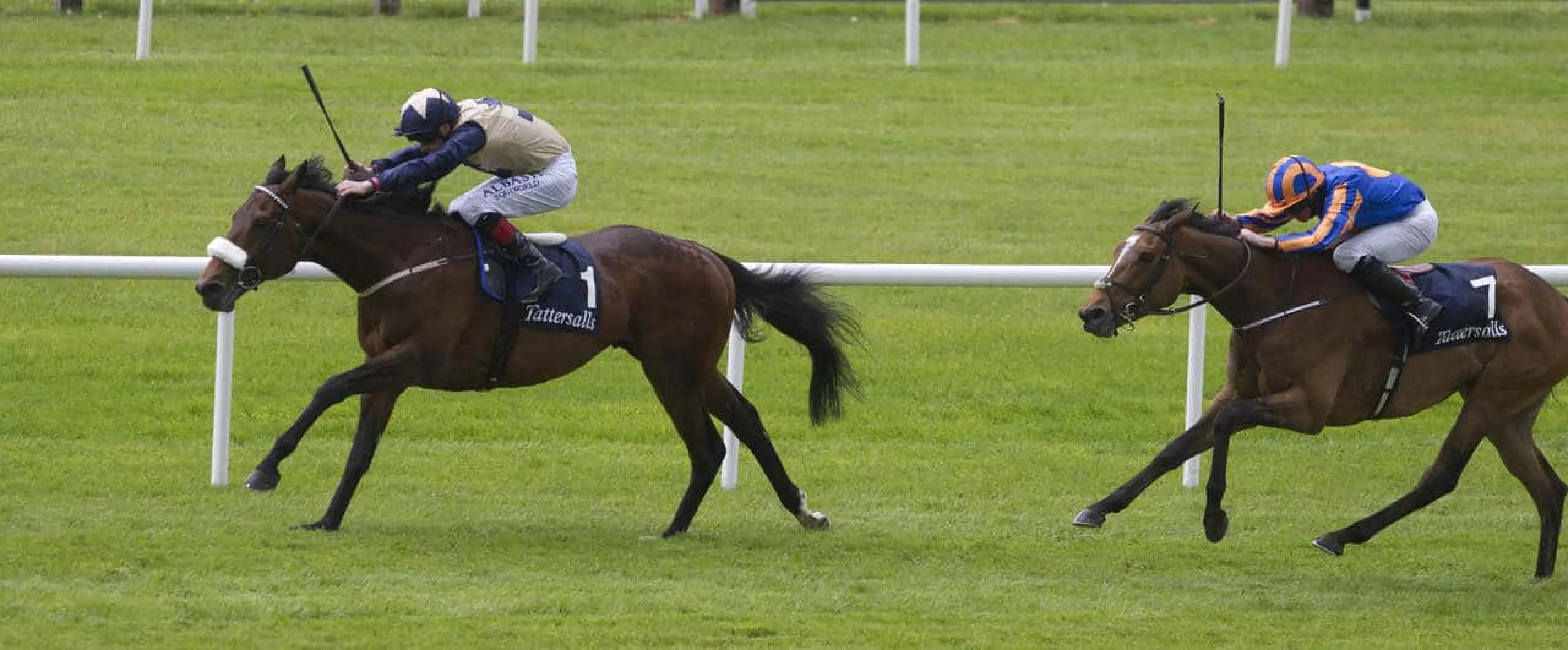 Fascinating Rock odds appeal among Champion Stakes tips at Ascot, with Coral experts preferring him over Almazor and Minding.