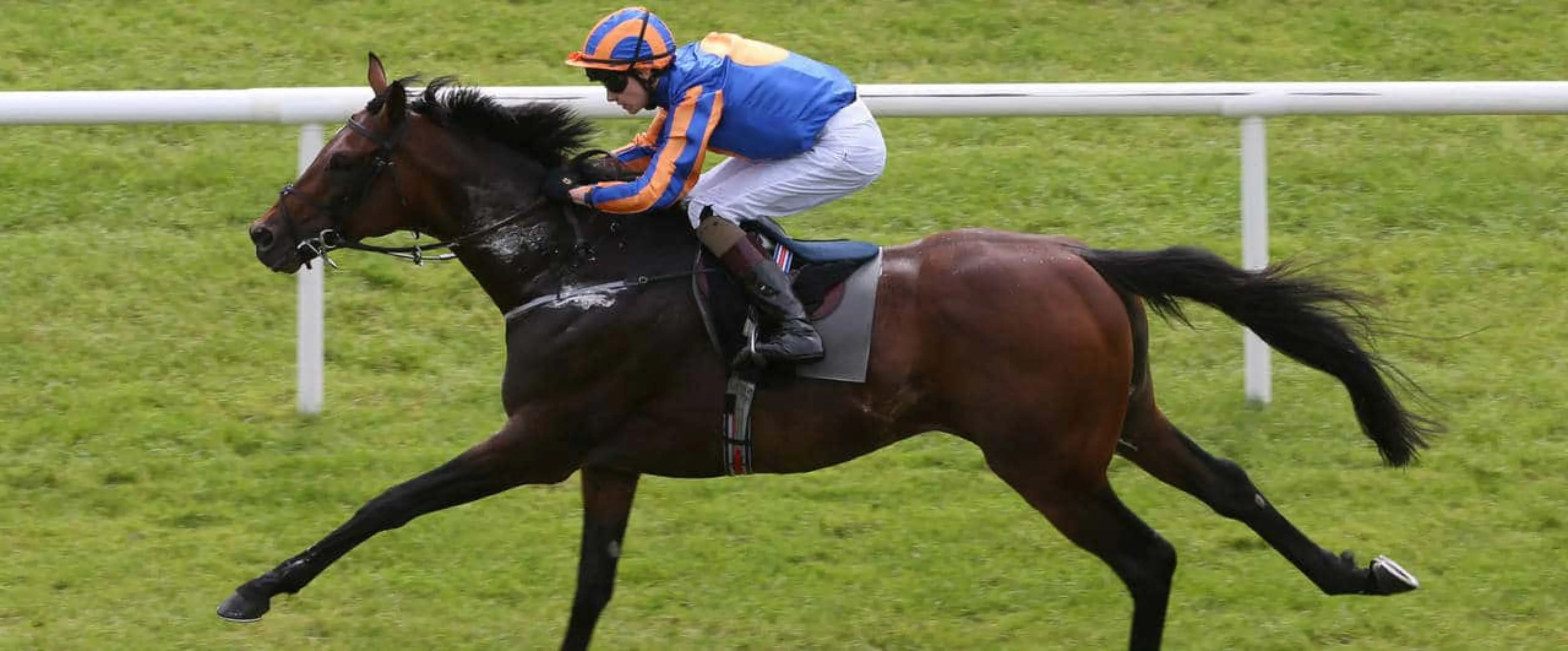 St George bets and Litigant each-way are among Coral experts' Long Distance Cup tips for 2016 British Champions Day at Ascot.
