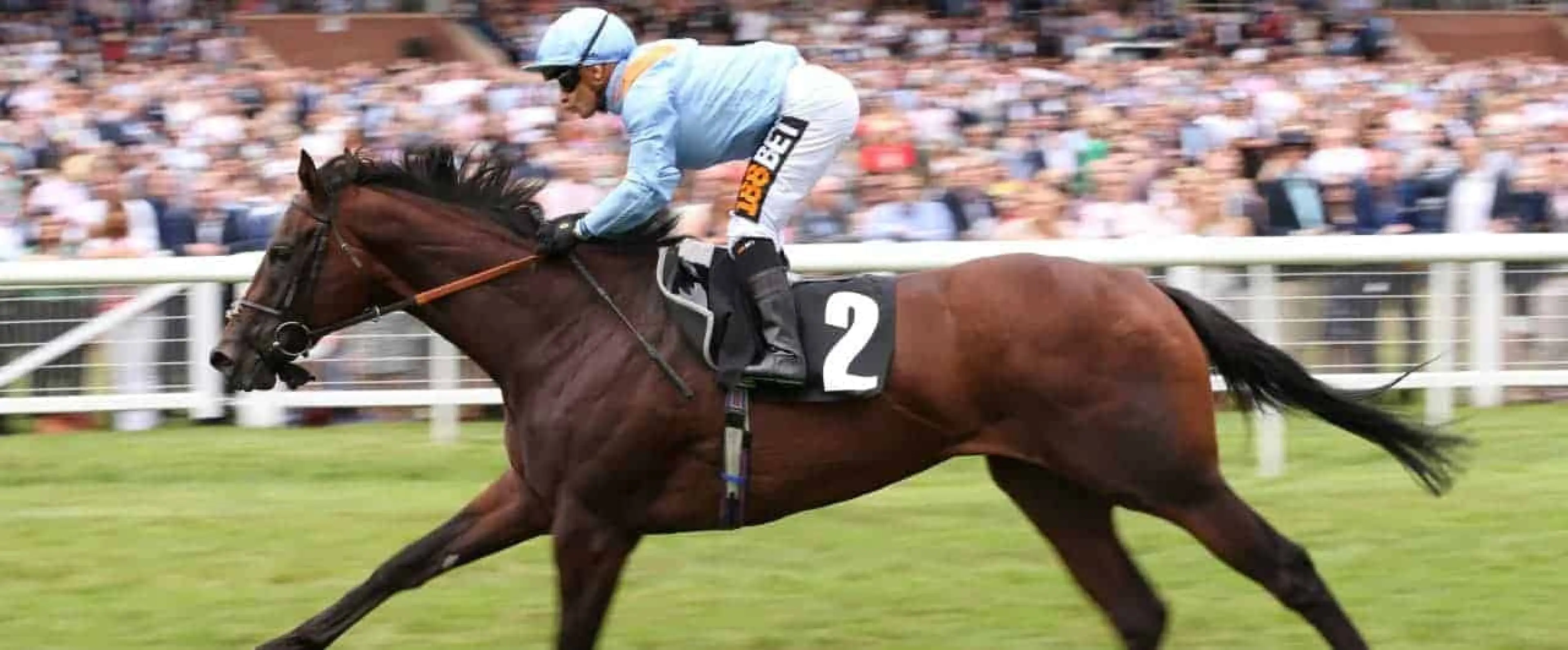 Silvestre de Sousa (1280)