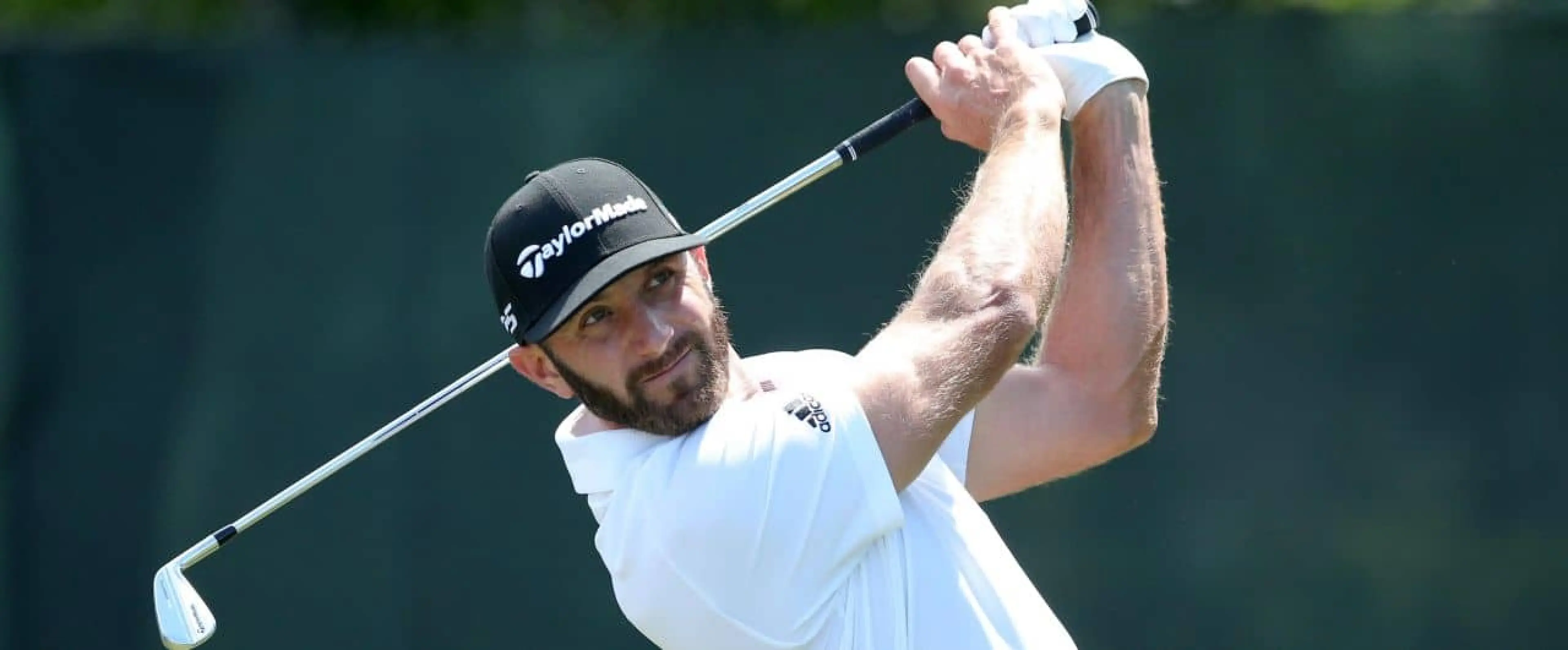 Dustin Johnson