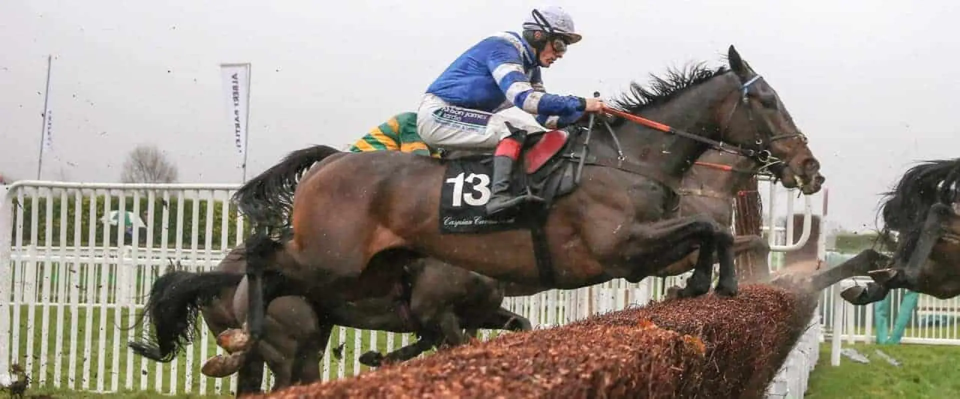 Frodon odds and Jenkins bets are among Coral's Kempton tips for Boxing Day.