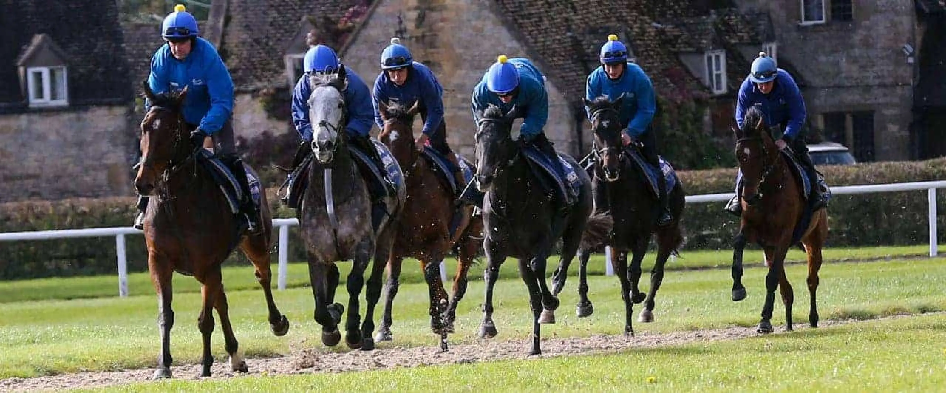 Haydock tips December 17