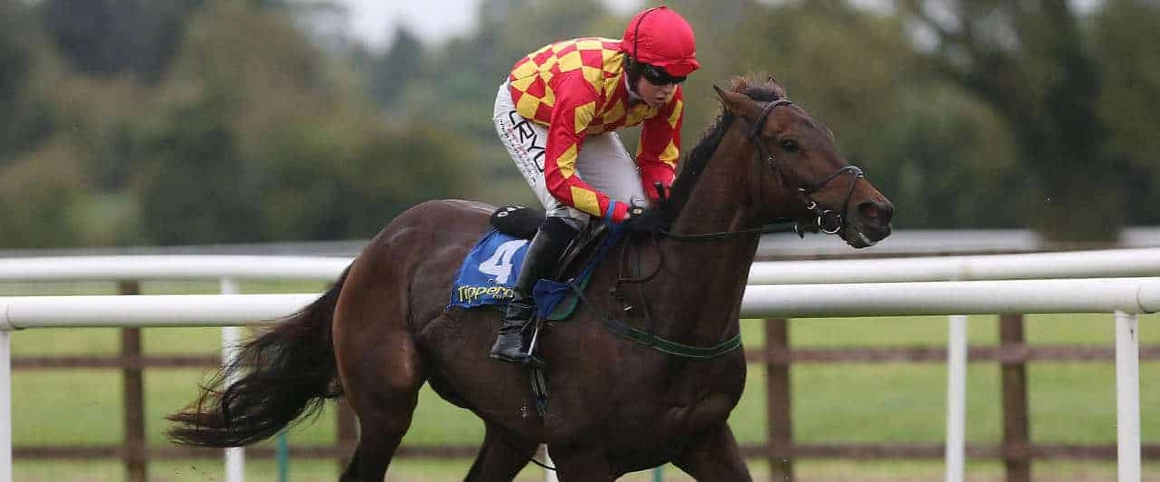 Upsanddowns odds are among Coral tipsters' proferred Perth punts for the September 5 meeting.