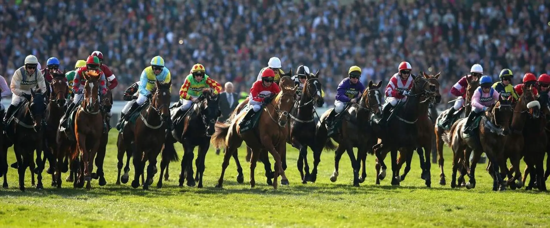 Grand National 2019 how to bet on grand national