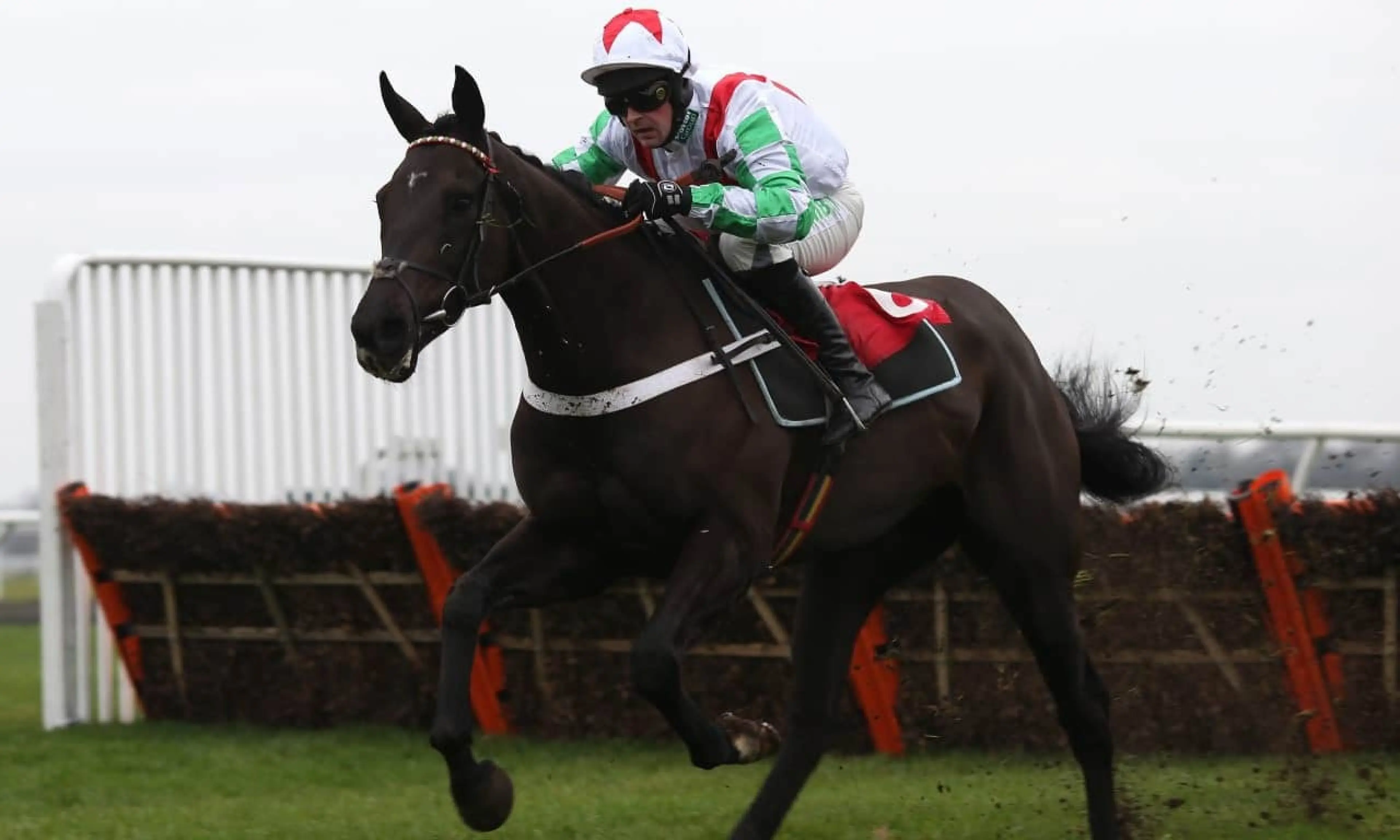 Mister Fisher Peterborough Chase