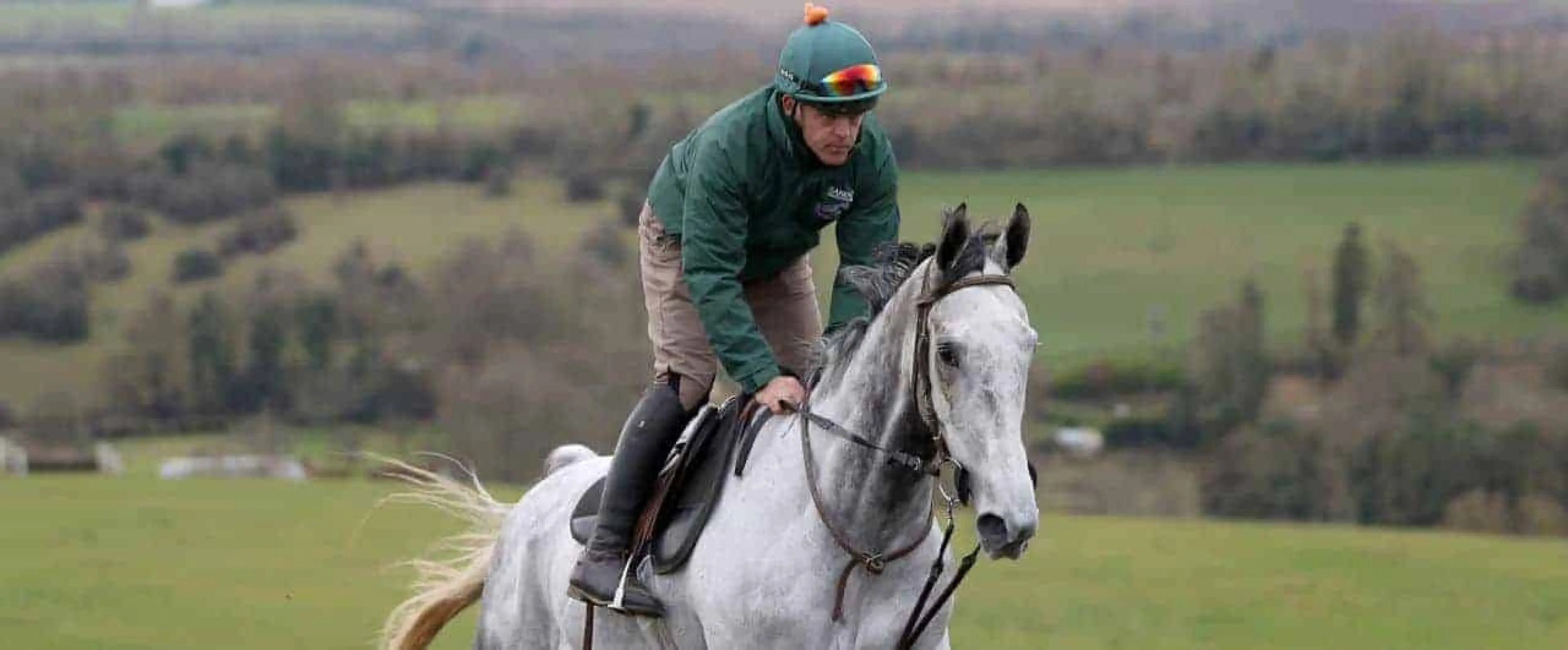 Cotswold Chase odds
