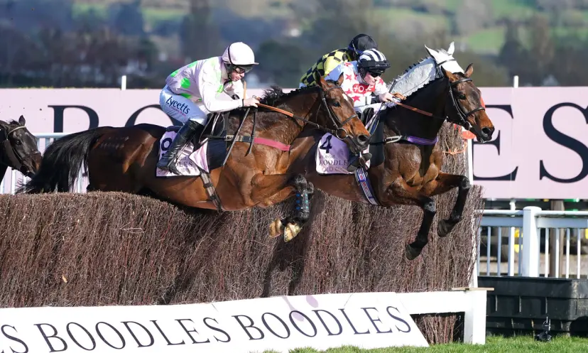 Boodles Gold Cup, Cheltenham Festival on Friday, horse racing