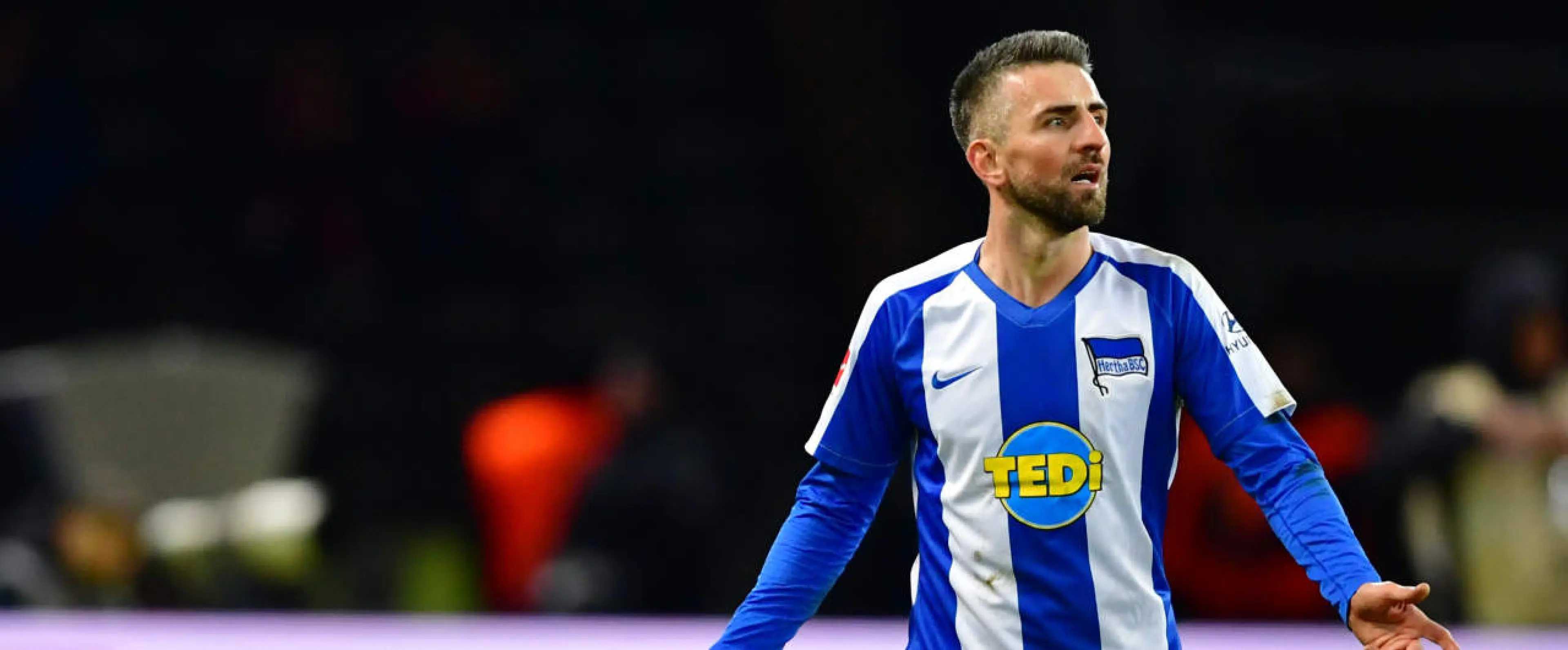 Vedad Ibisevic Hertha Berlin