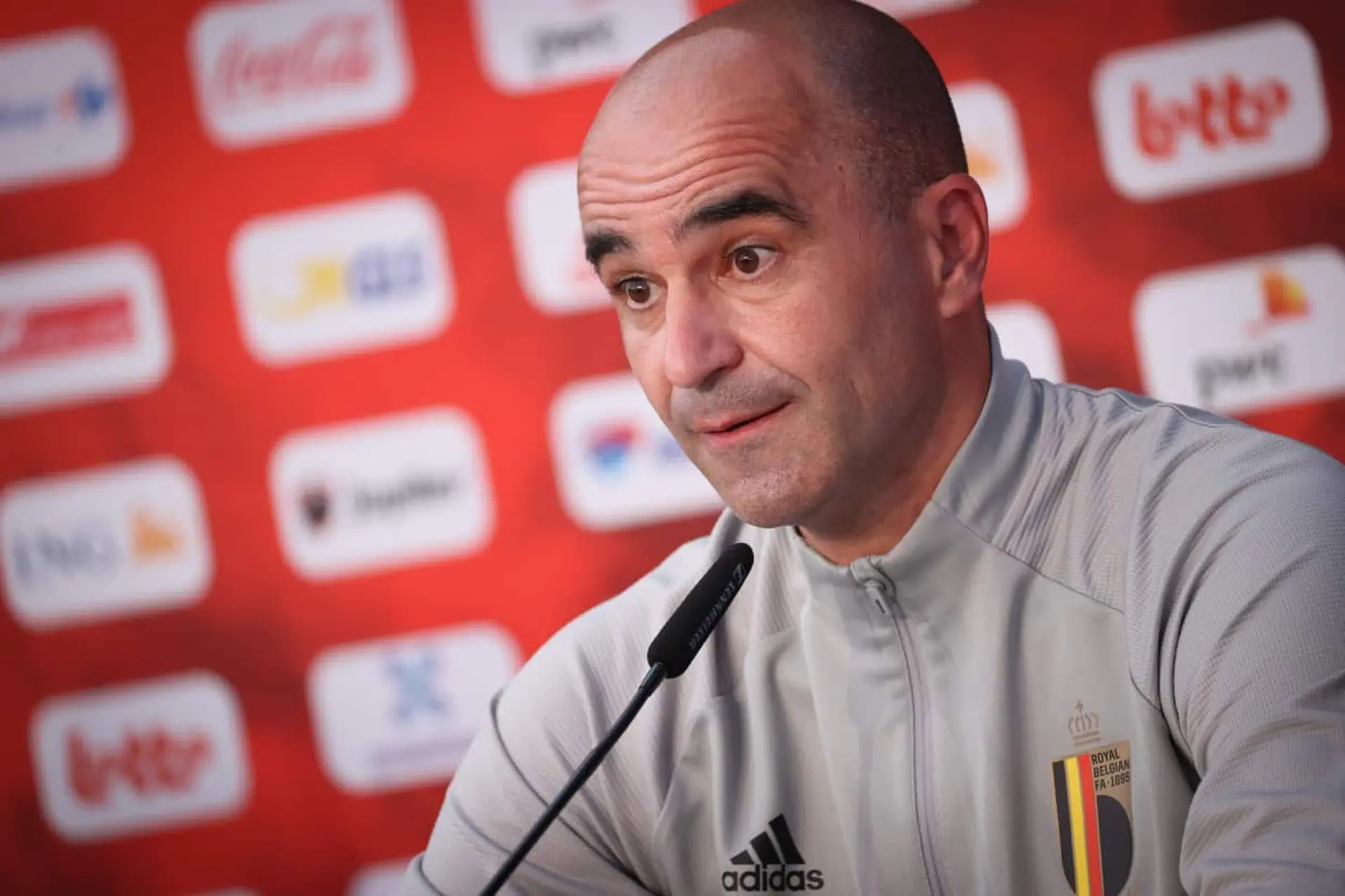 Roberto Martinez, Belgium