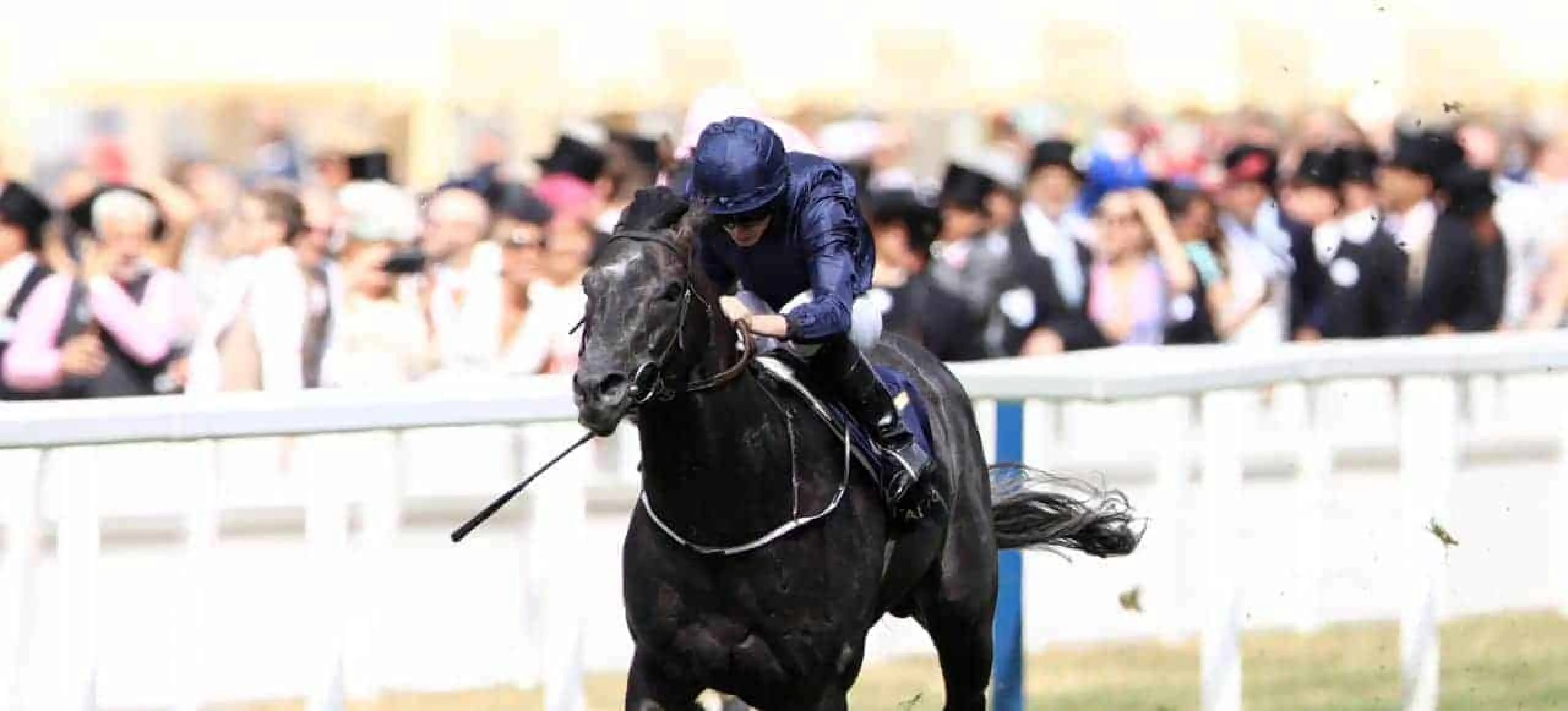 Caravaggio odds