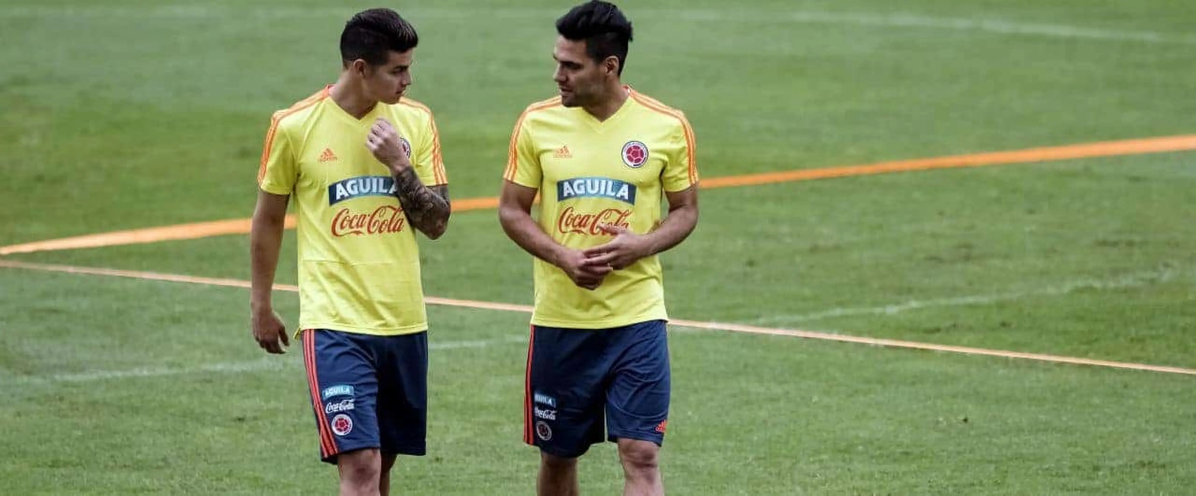 Rodriguez Falcao World Cup Colombia
