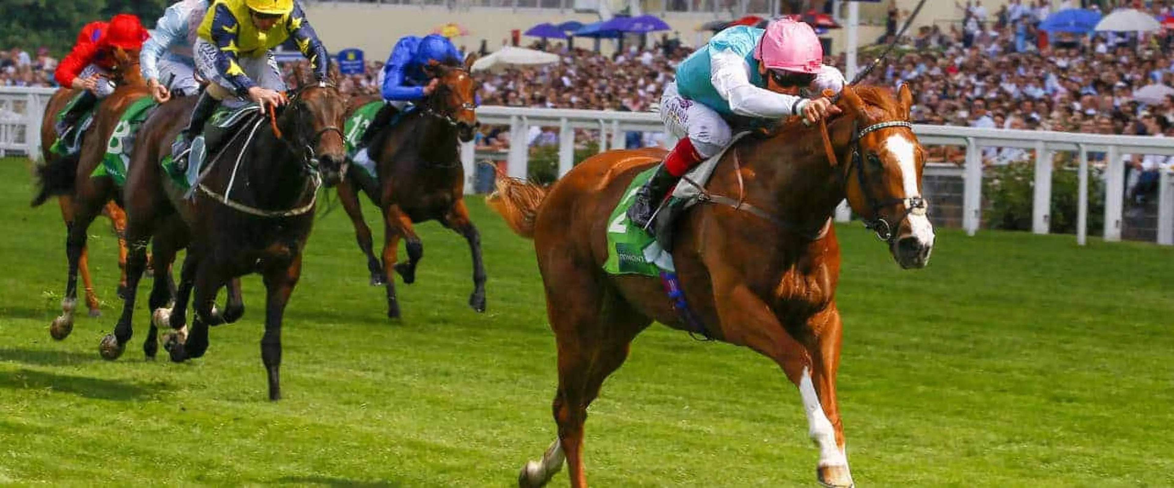 Fair Eva is the heavy favourite to win the Rockfel Stakes.