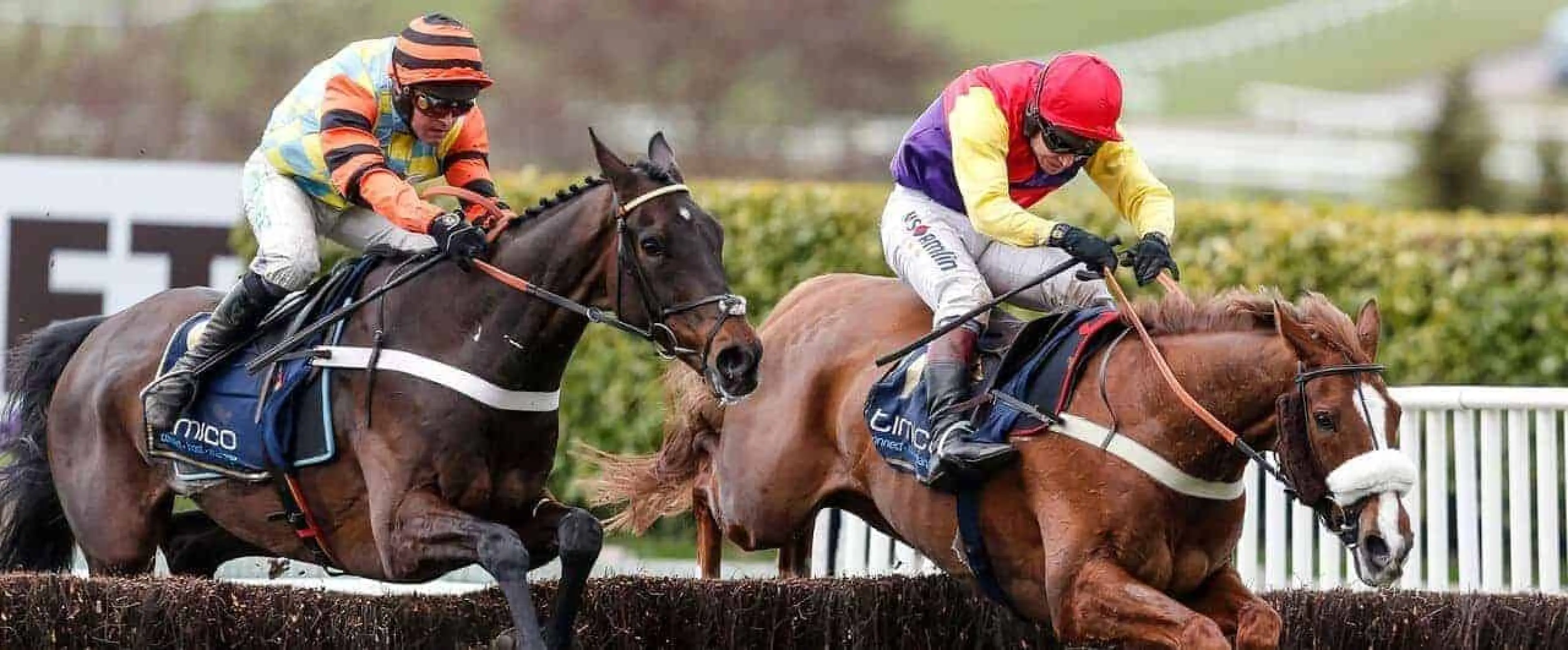 Cheltenham Gold Cup Trivia - Cheltenham Gold Cup Winners
