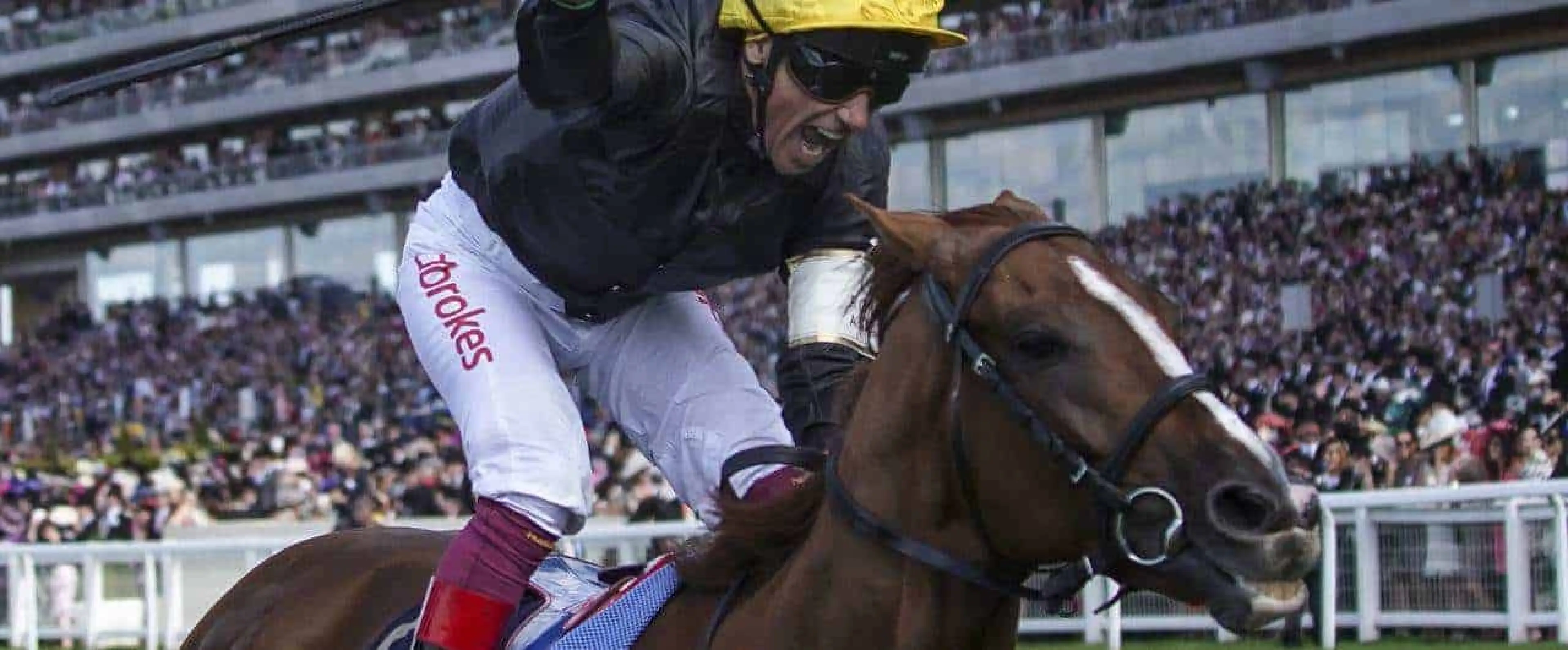 Ascot Gold cup day tips
