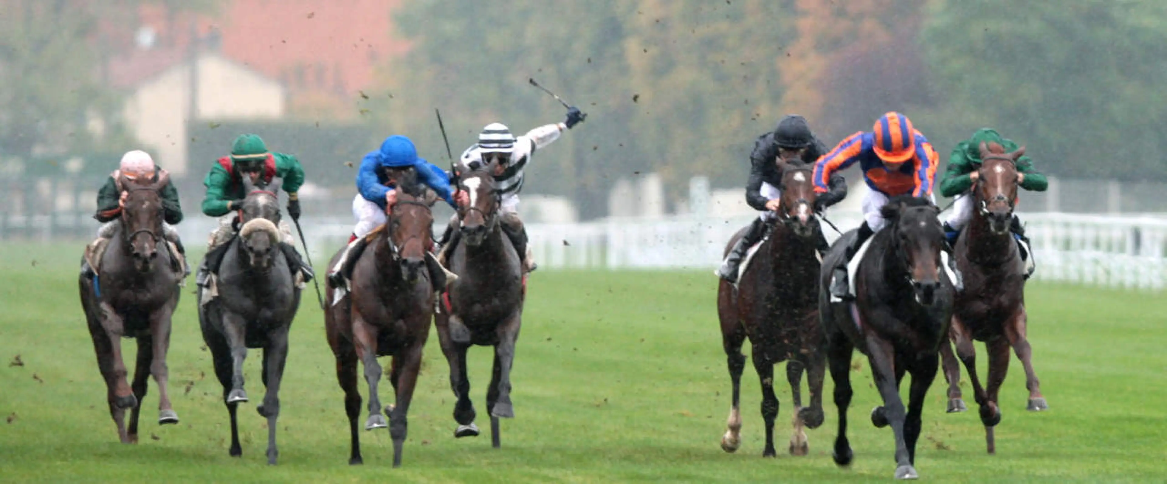 Saint-Cloud Horse Racing