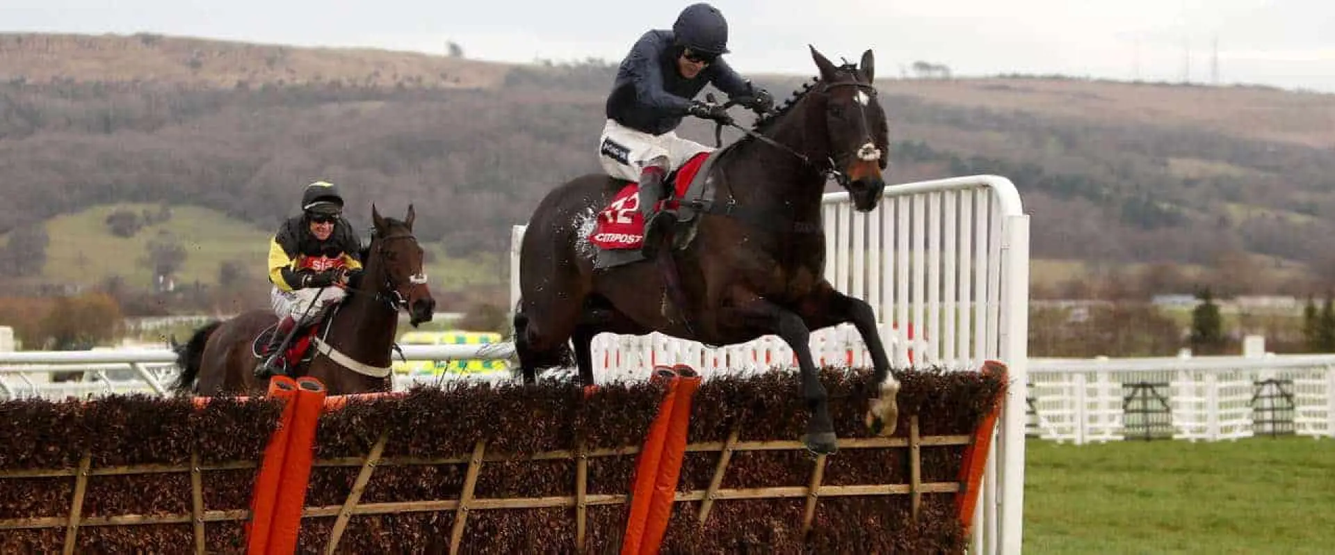 Back Call To Order odds to win at Cheltenham as it's Coral's bet of the day for January 1.