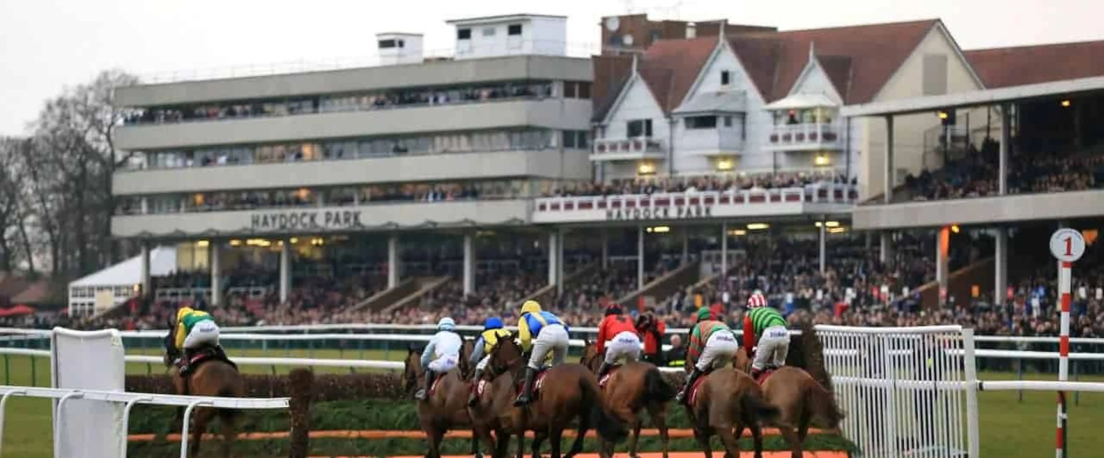 Haydock Trial betting