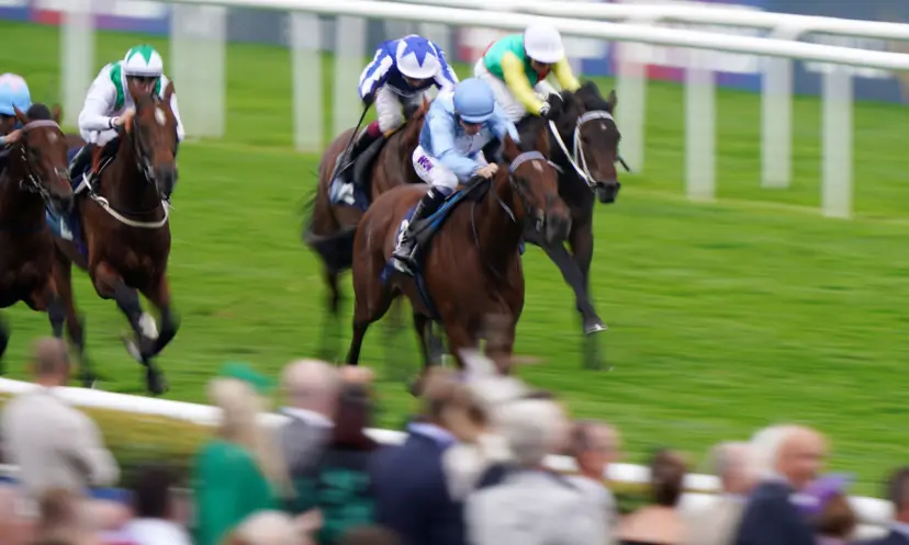 God's Window, Futurity Trophy betting odds, horse racing