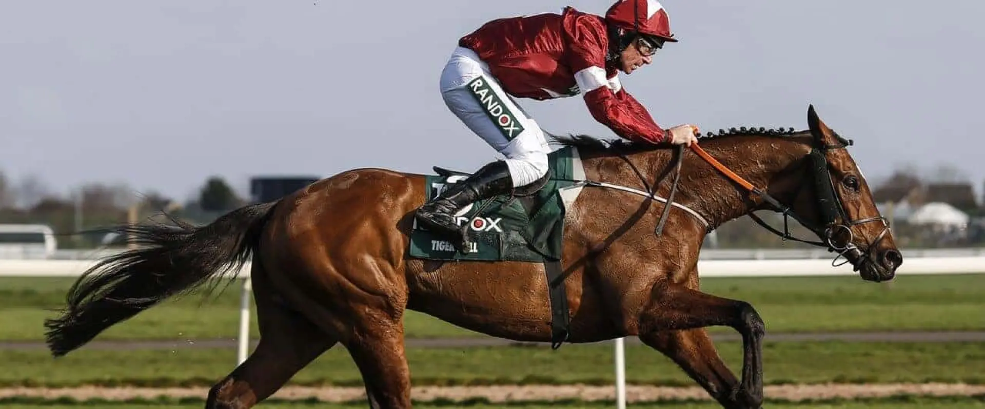 Tiger Roll 2019 Grand National