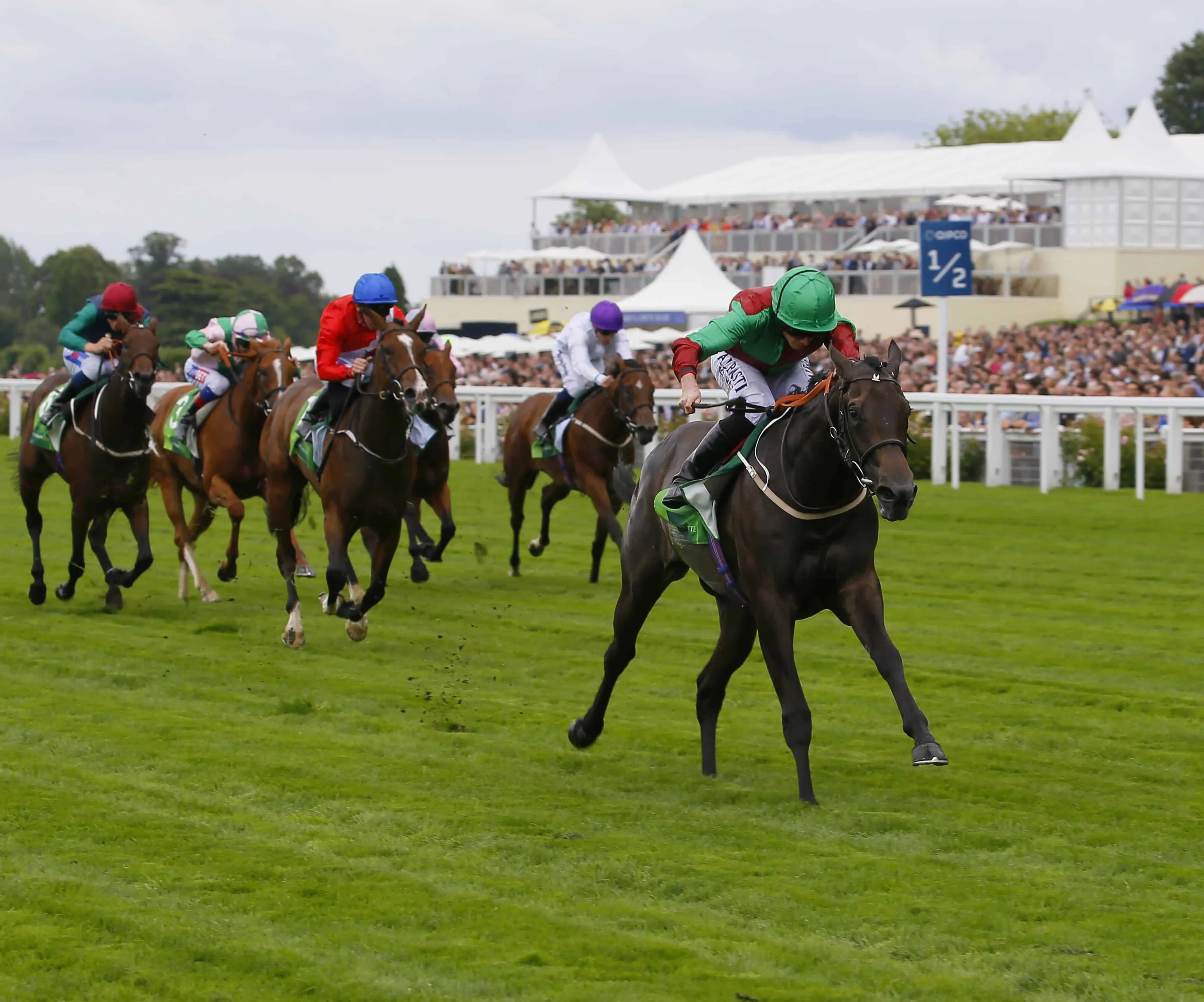 St Leger odds