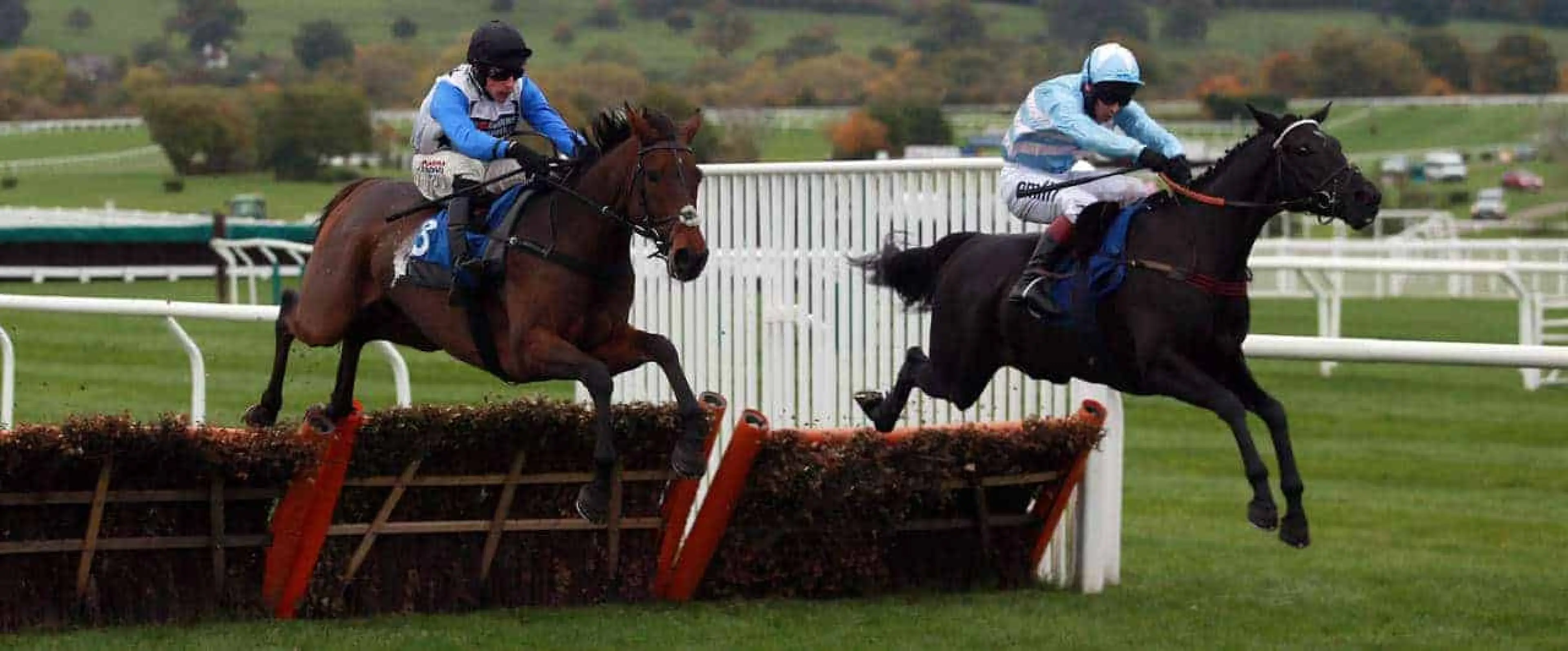 Mister Miyagi odds to win the Listed 2m hurdle at Kempton is Coral's bet of the day for October 16.