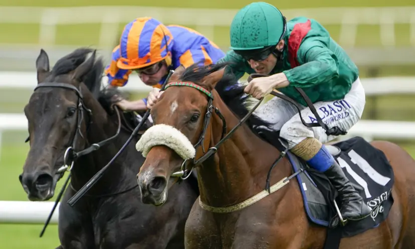 Tahiyra, horse racing, Irish 1000 Guineas odds