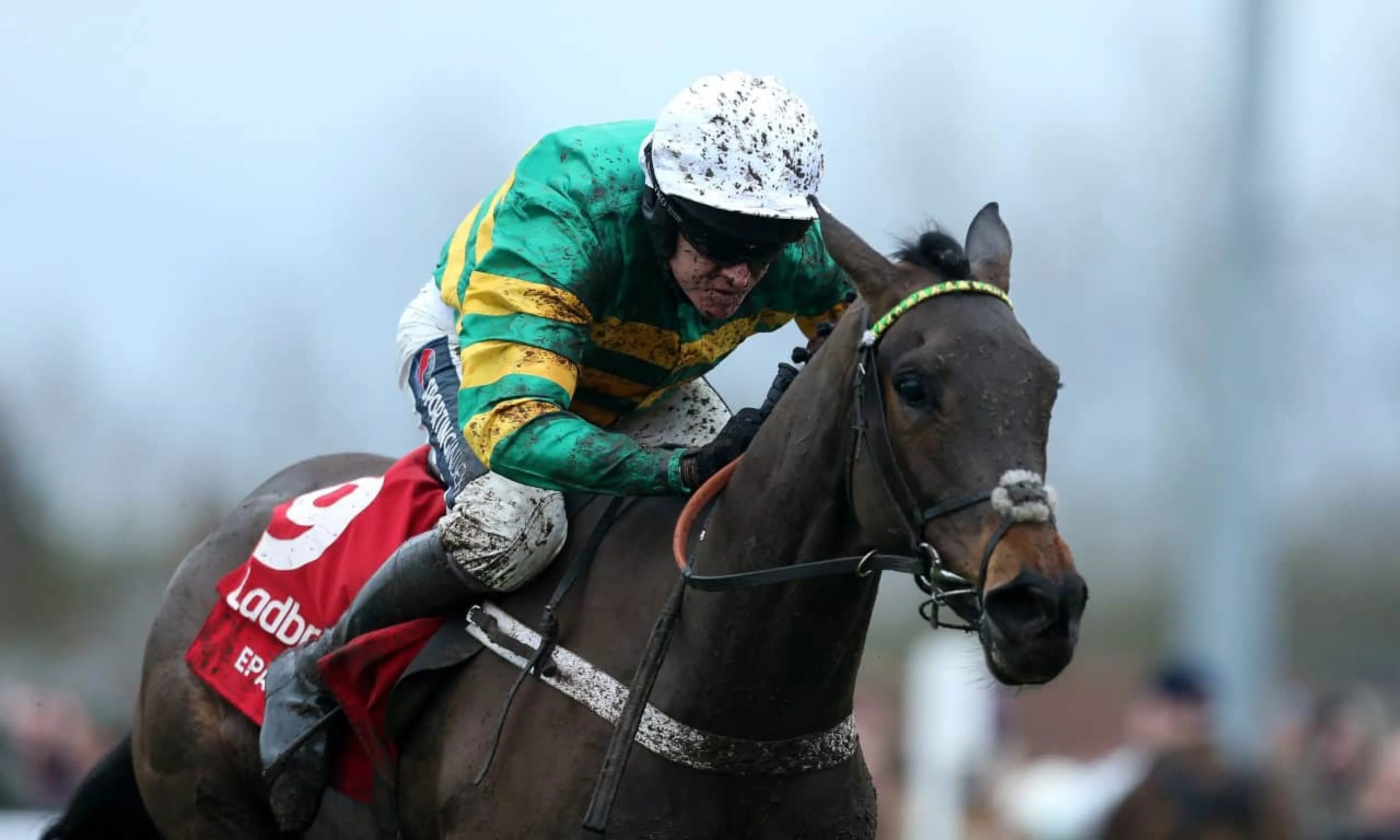 Epatante Champion Hurdle