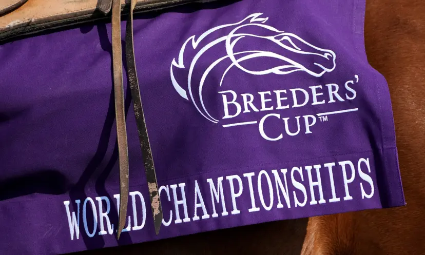 Breeders' Cup 2024 odds, horse racing