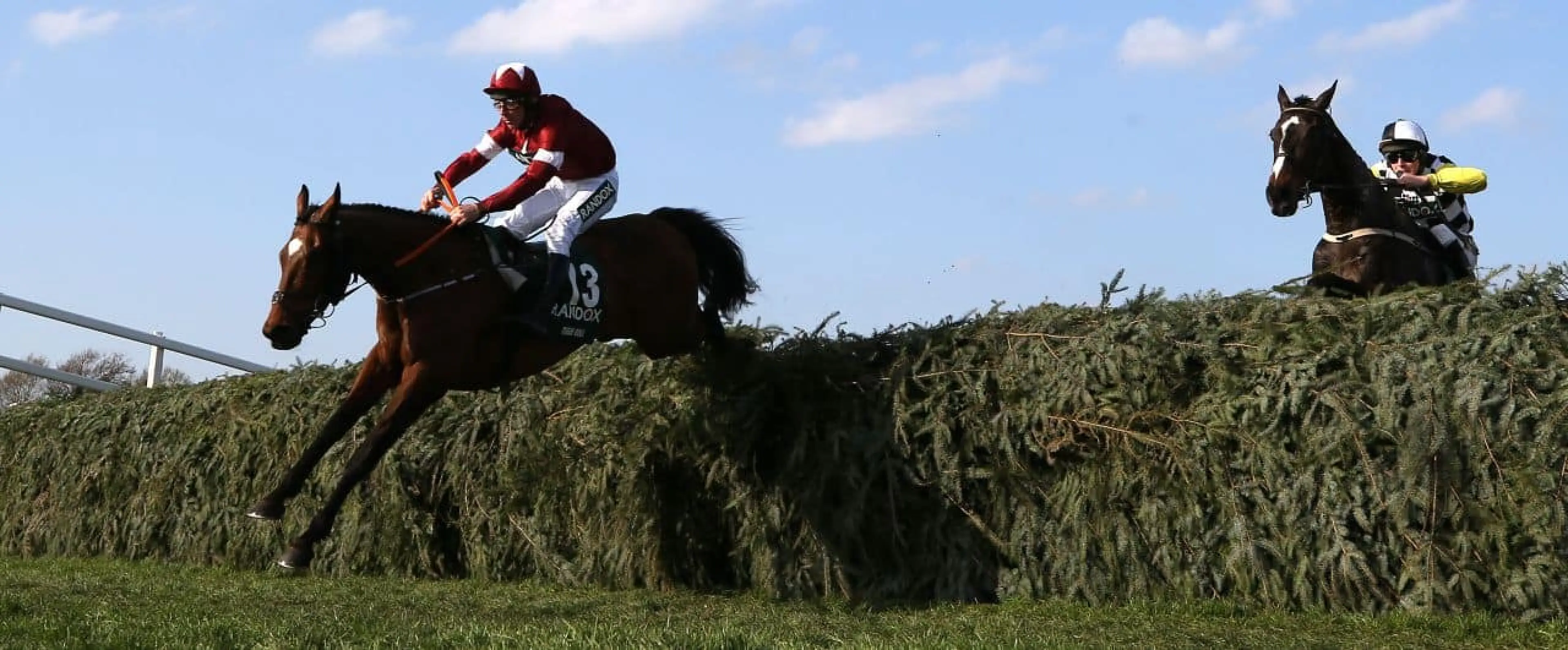 Tiger Roll wins Aintree Grand National
