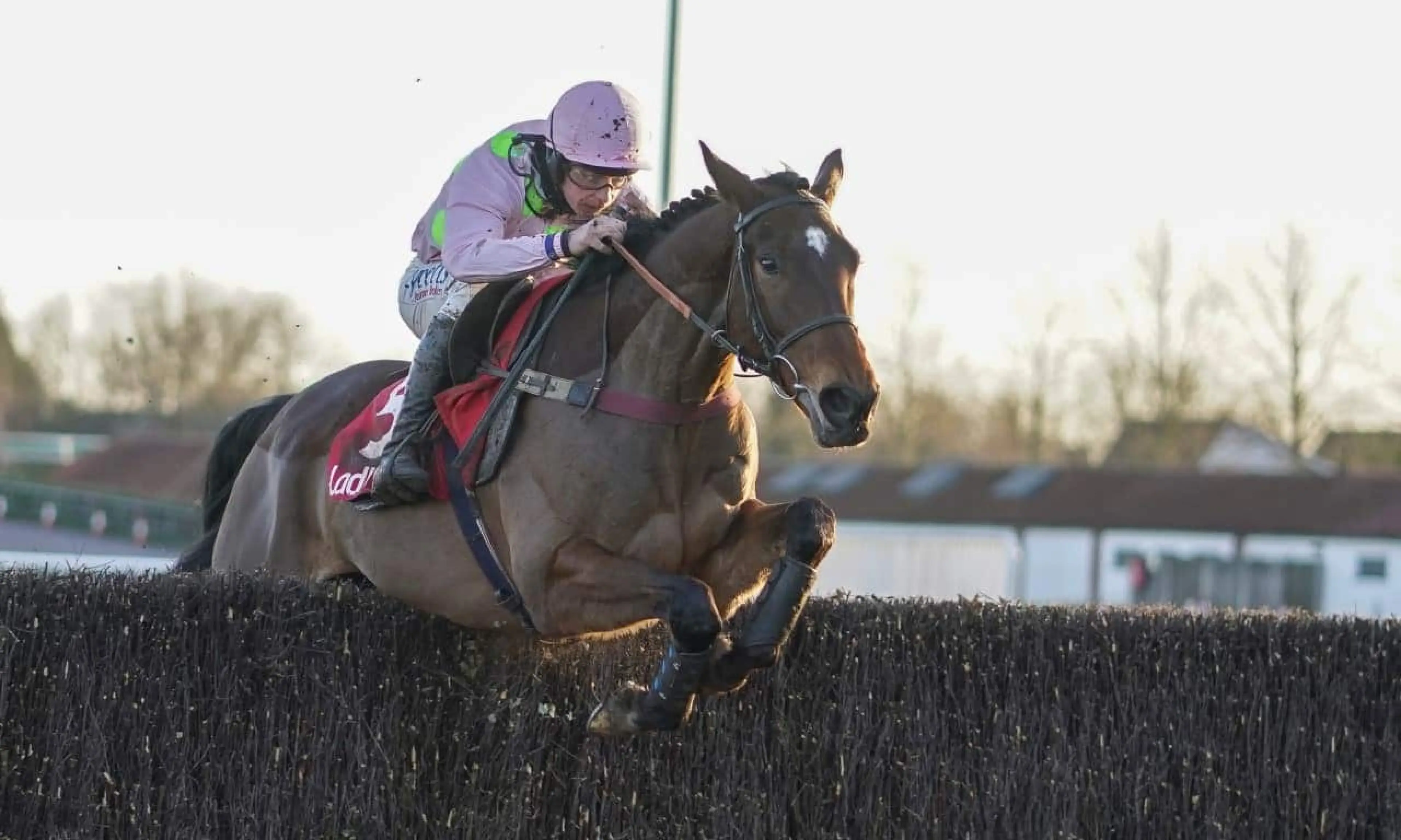Royale Pagaille, ITV racing tips