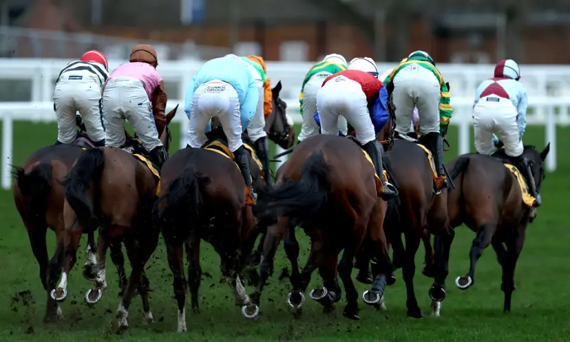 Christmas racing, horse racing