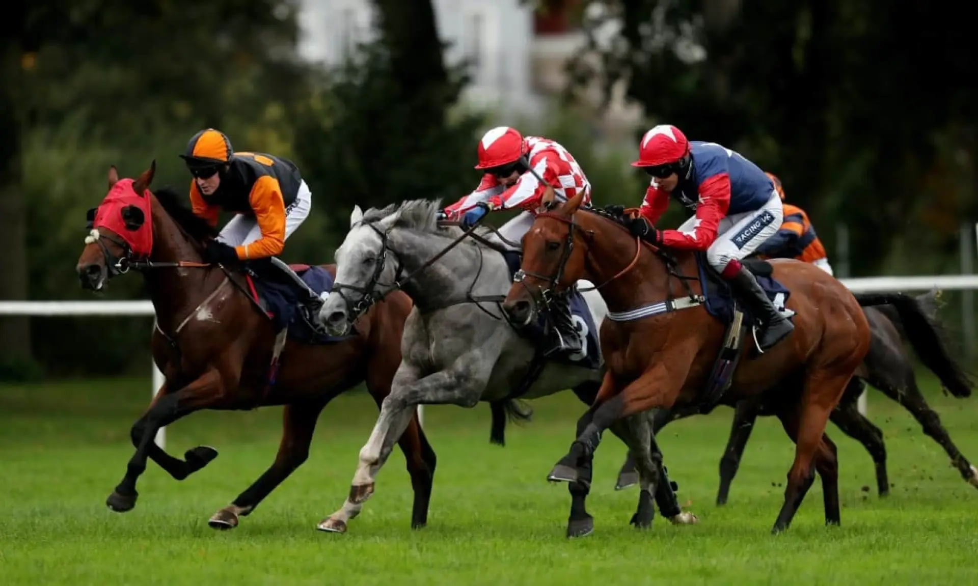 Deauville Dancer Ascot