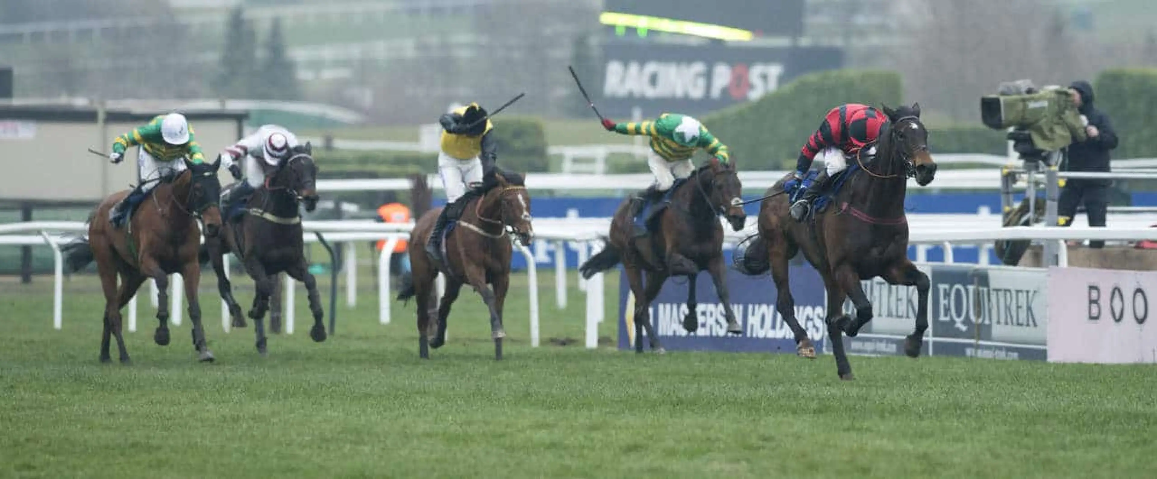 Next Sensation odds feature among Newton Abbot tips for September 26th alongside Templeross bets.