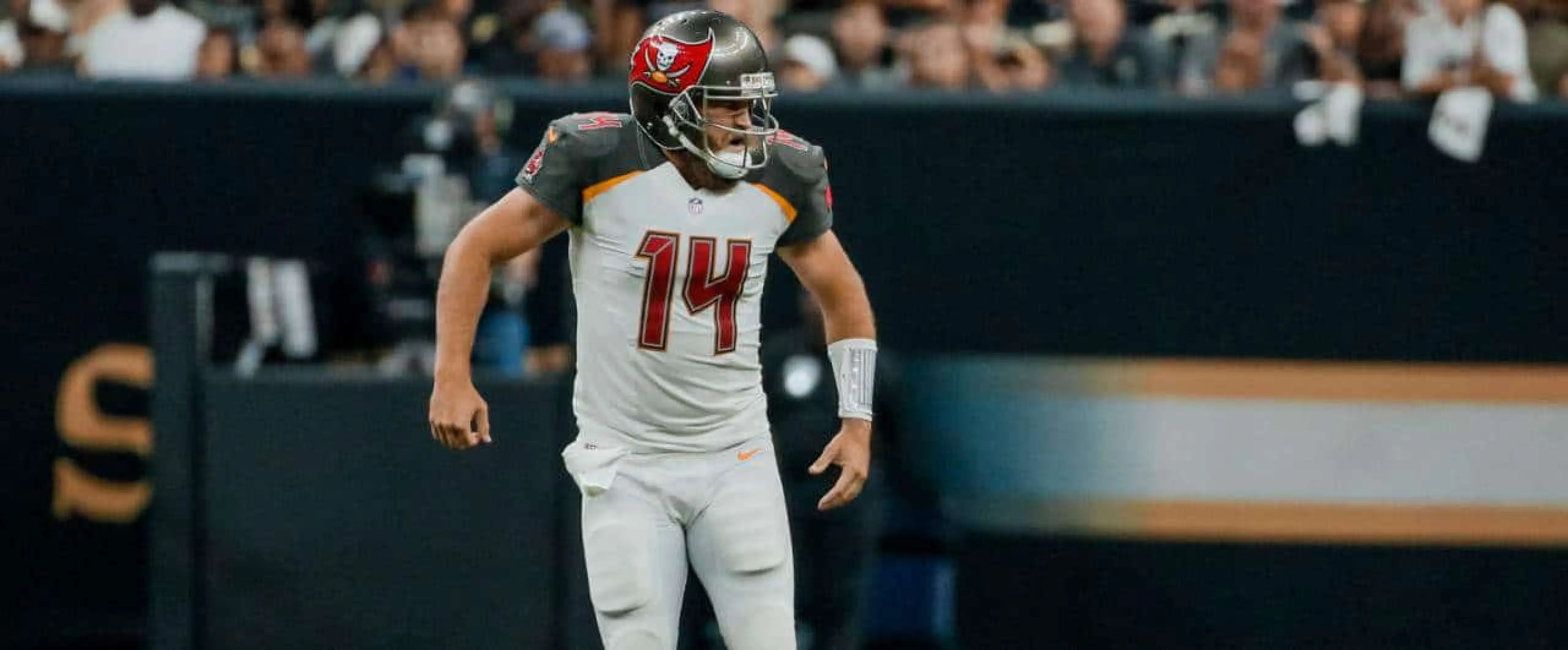 Ryan Fitzpatrick - Tampa