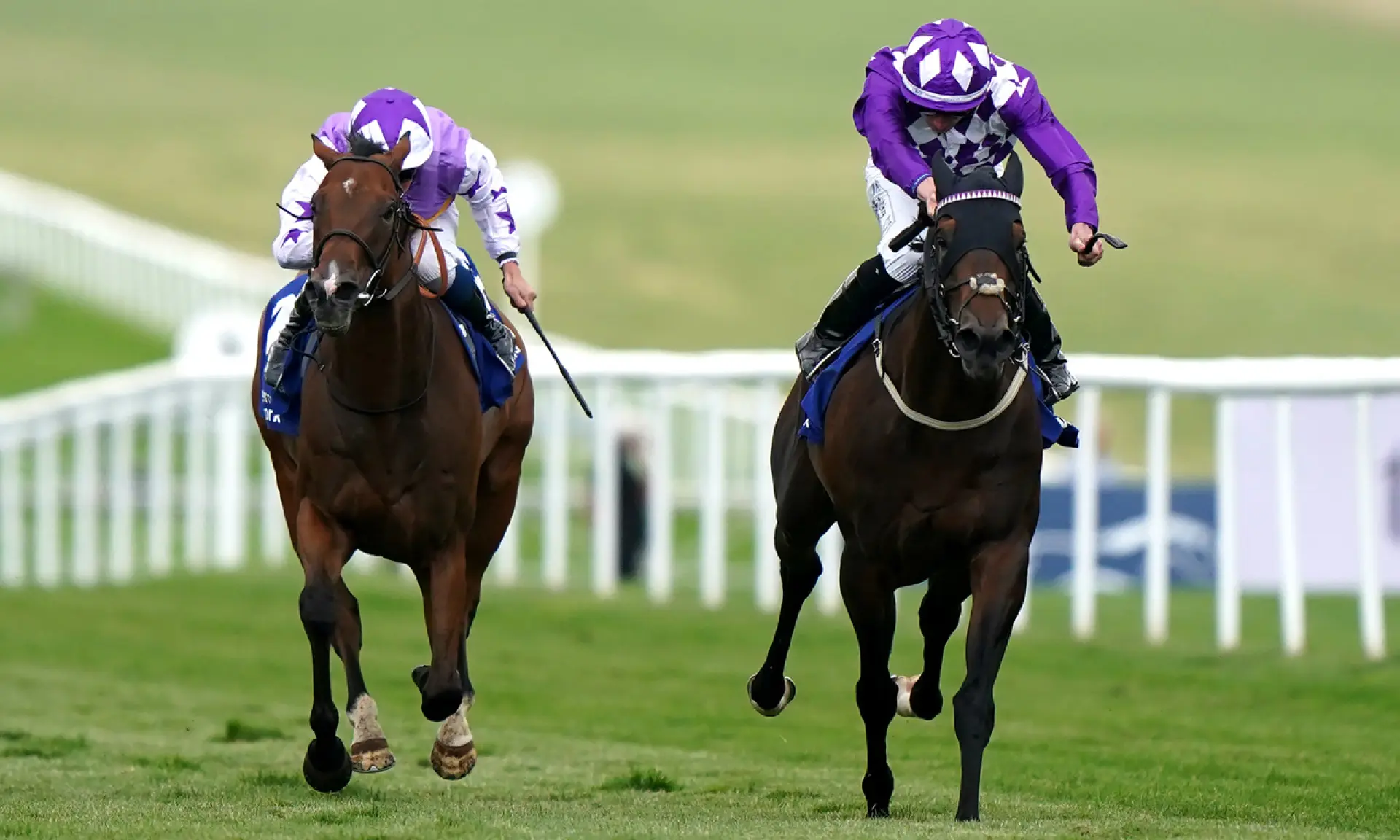 Haydock Sprint Cup, horse racing, Shaquille