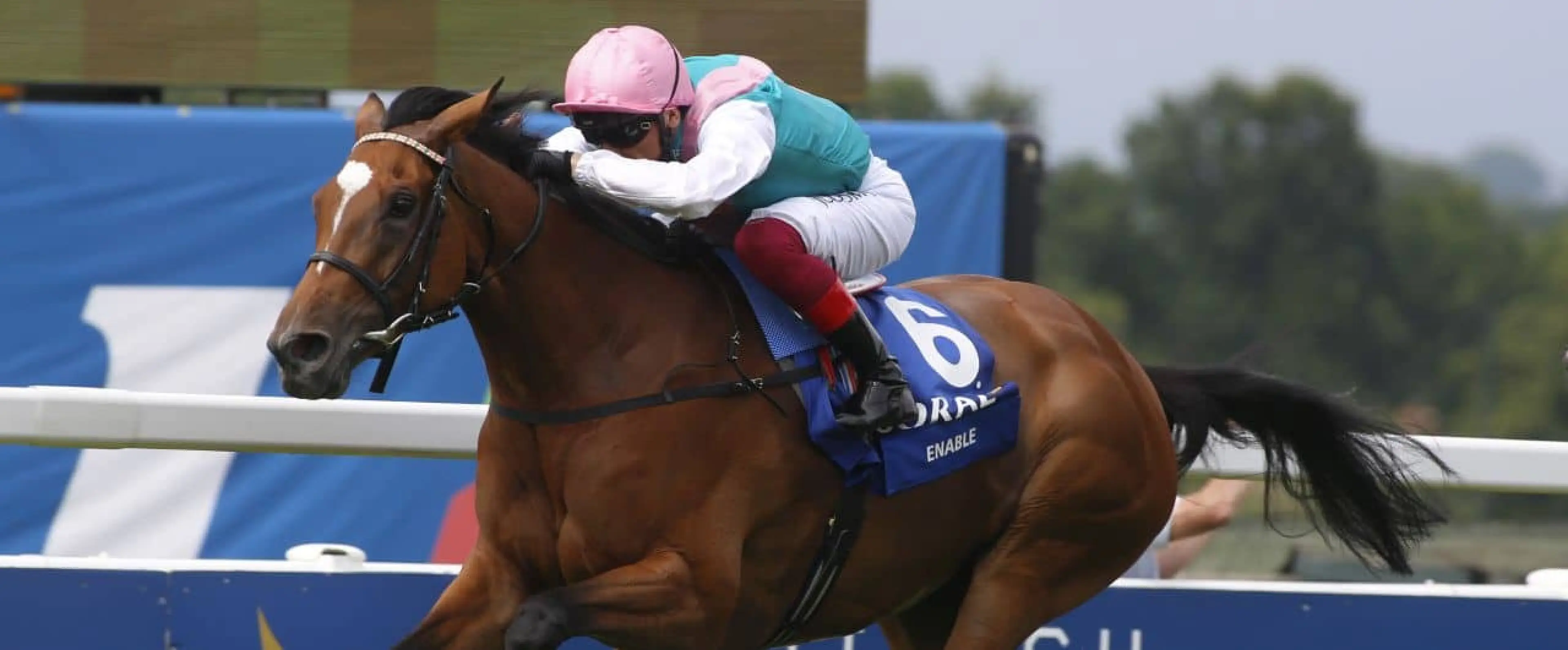 Enable