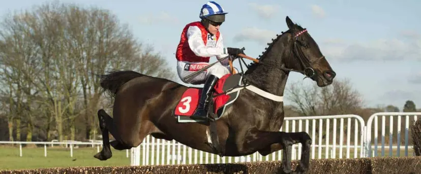 Josses Hill odds and Volnay De Thaix bets are recommended Peterborough Chase tips from Huntingdon by Coral experts.