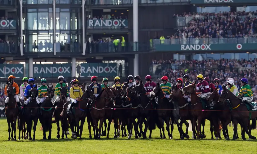 Grand National weights, horse racing
