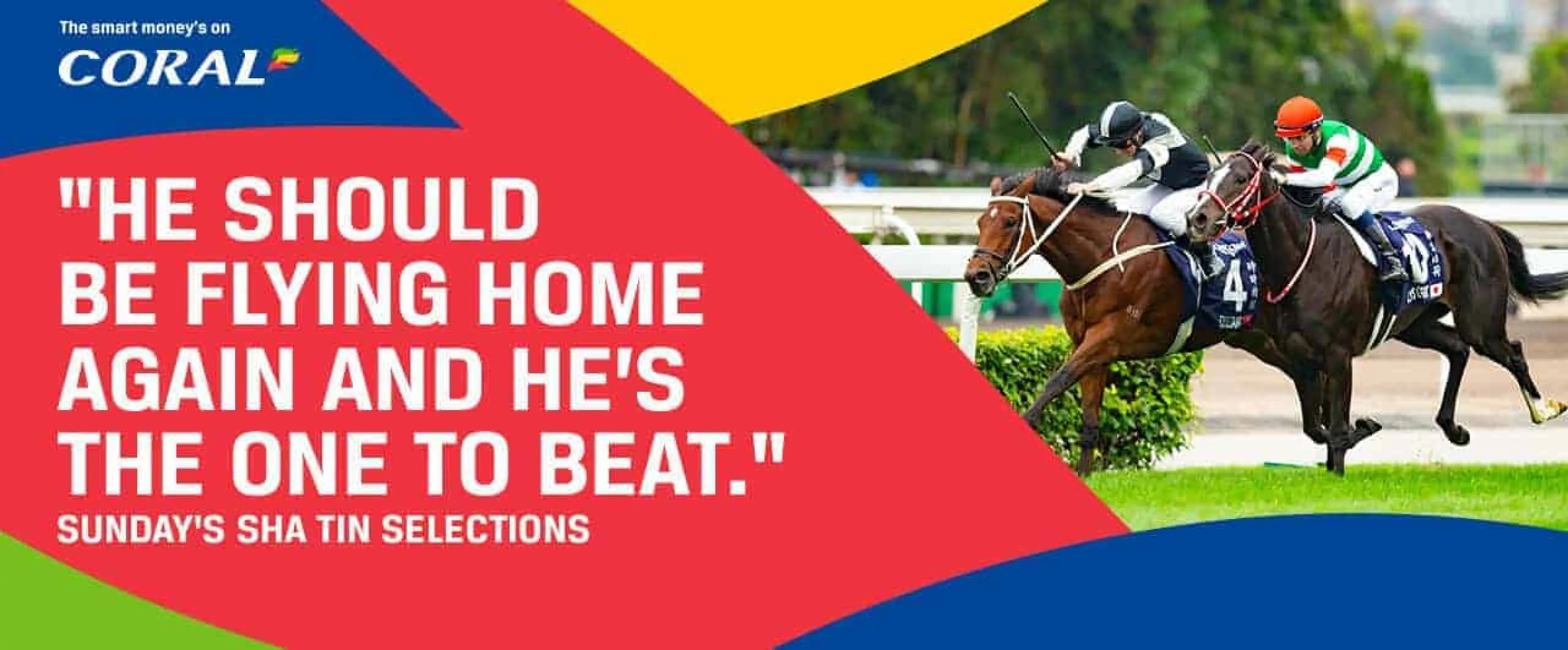 Sha Tin Blog