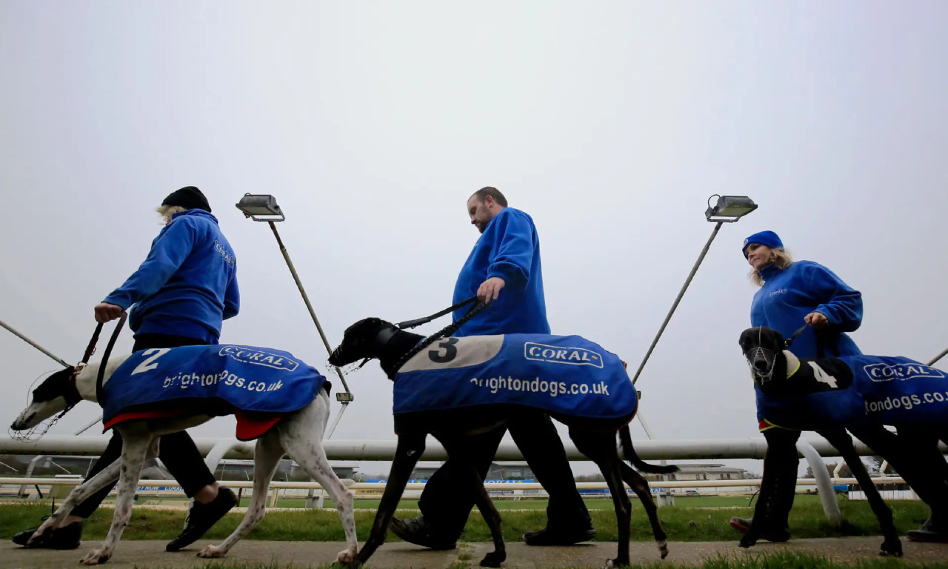 Premier Greyhound Racing Regency, Hove